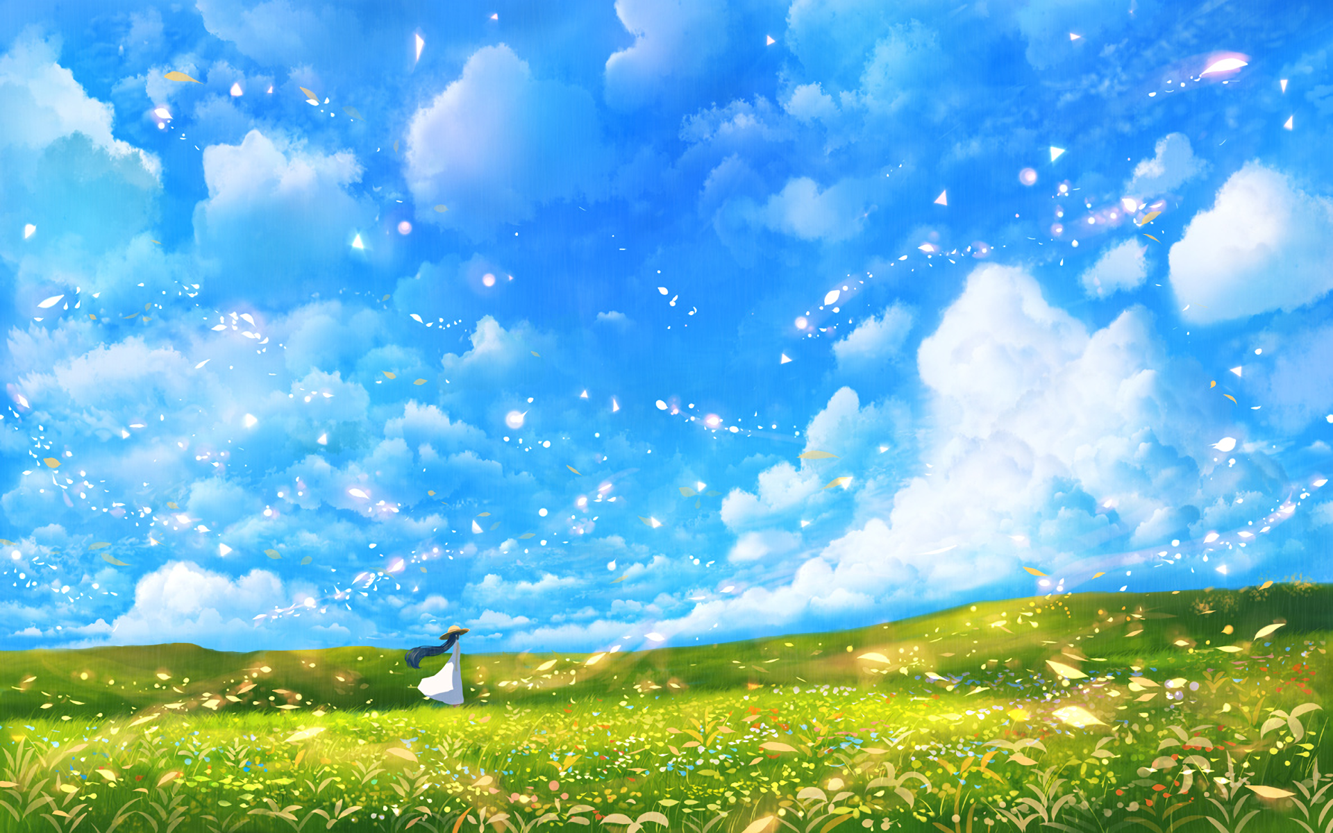 Cloud Dress Girl Hat Long Hair Meadow Petal Scenic Sky 1920x1200