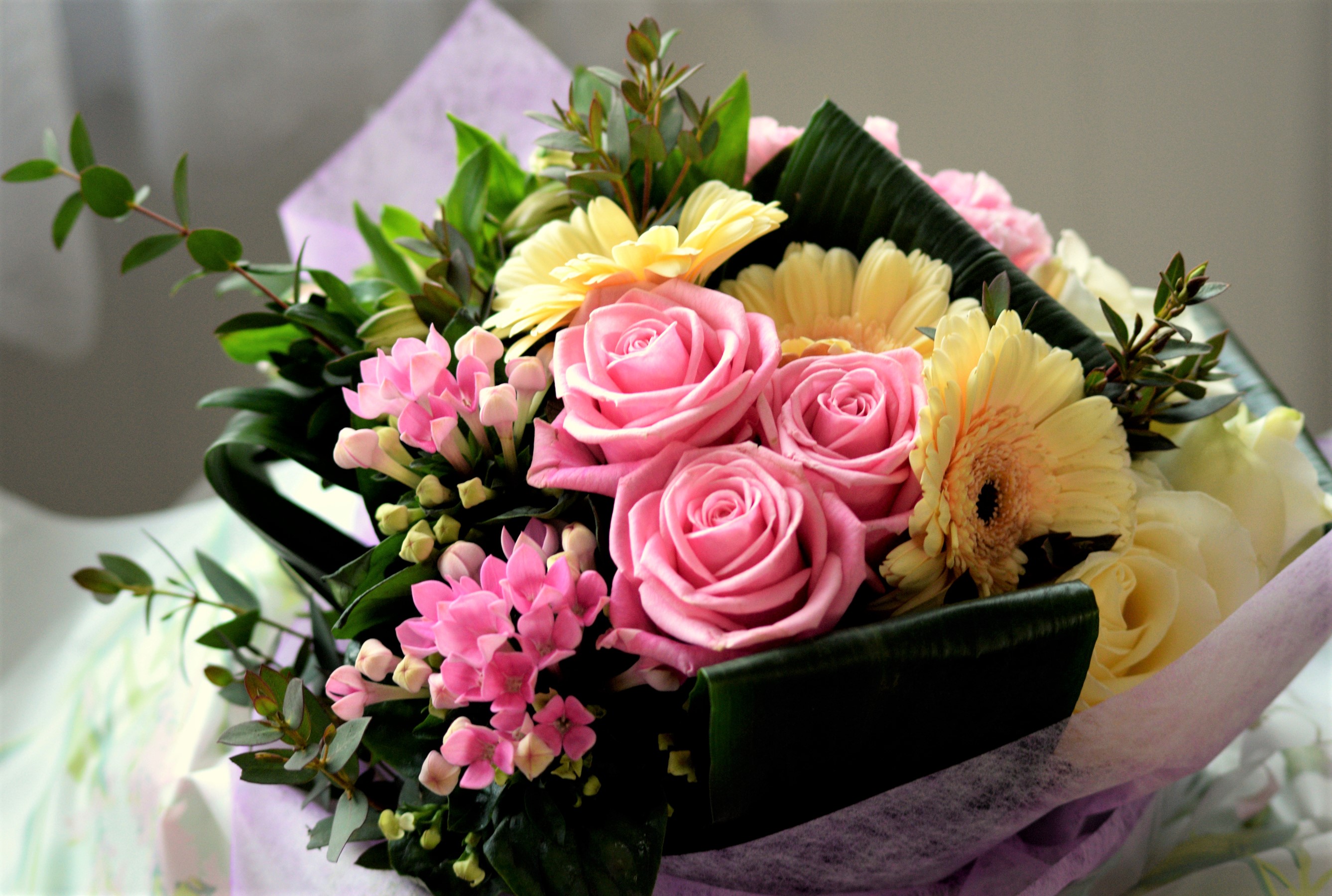 Box Colorful Flower Gerbera Pink Flower Rose Still Life Yellow Flower 2675x1800