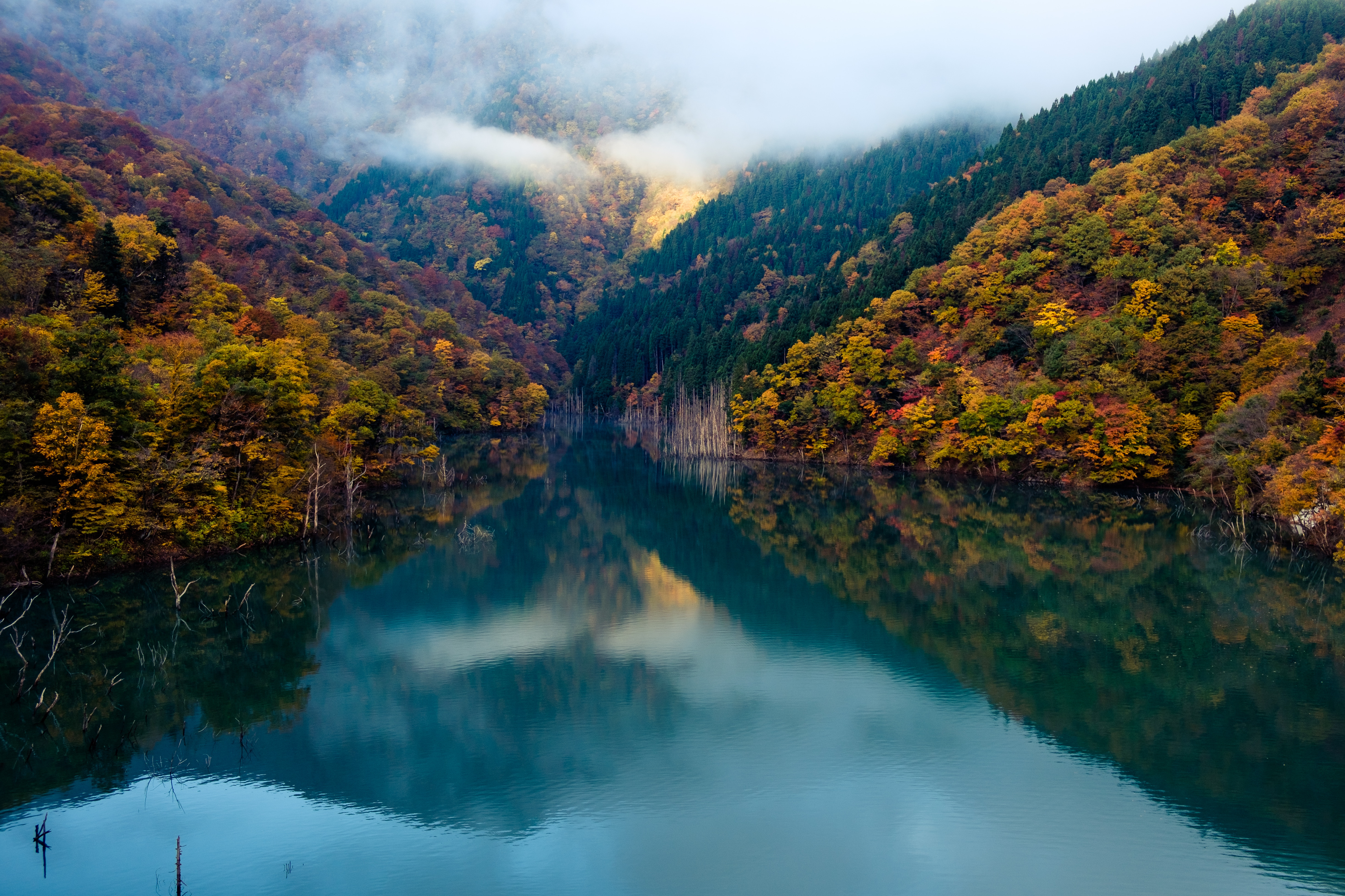 Fall Fog Forest Nature Reflection River 5863x3909