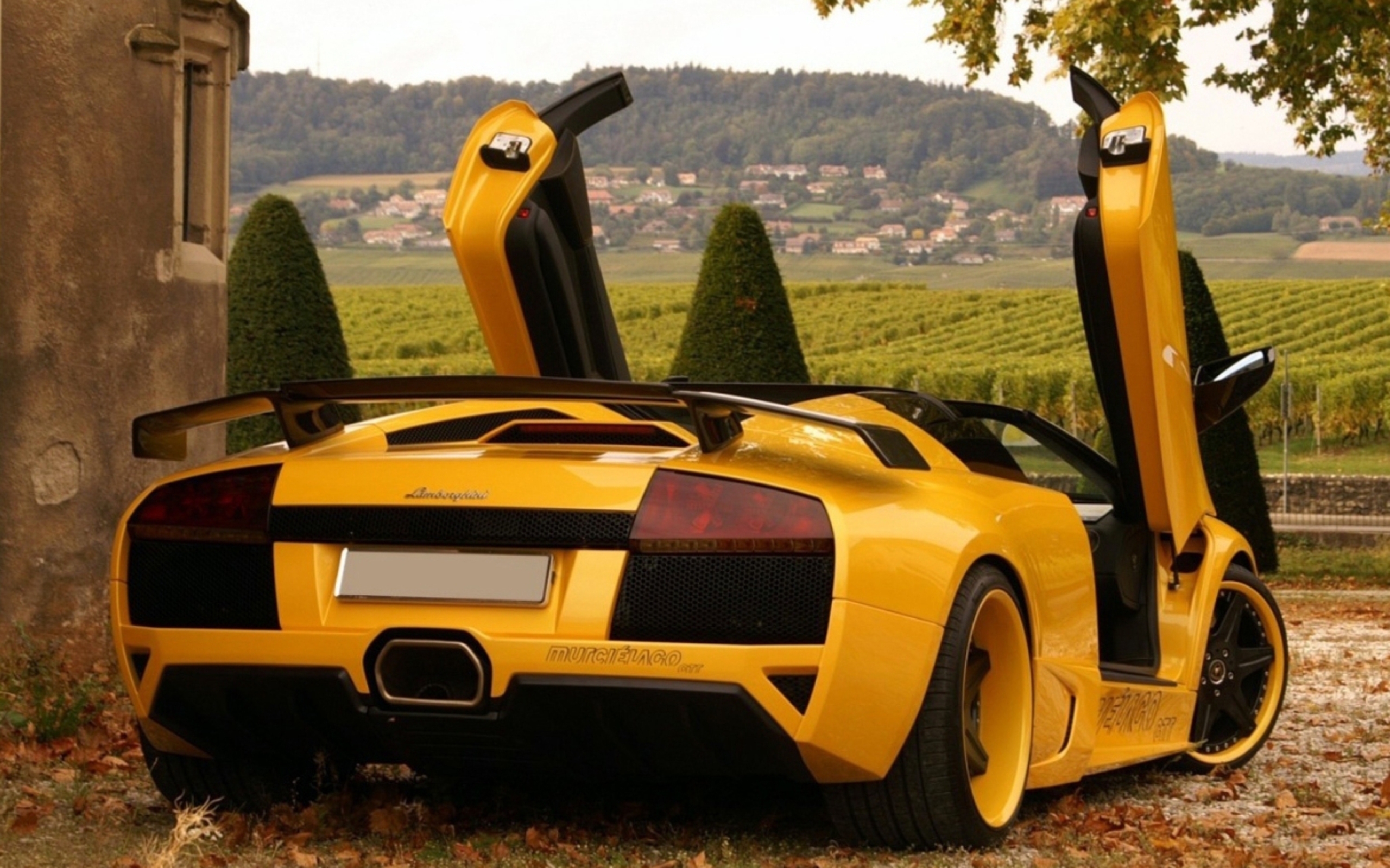 Vehicles Lamborghini 2560x1600