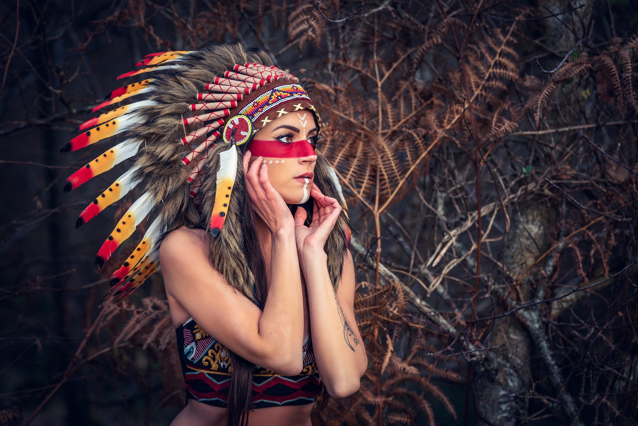 Brown Eyes Girl Headdress Native American Woman 2048x1367
