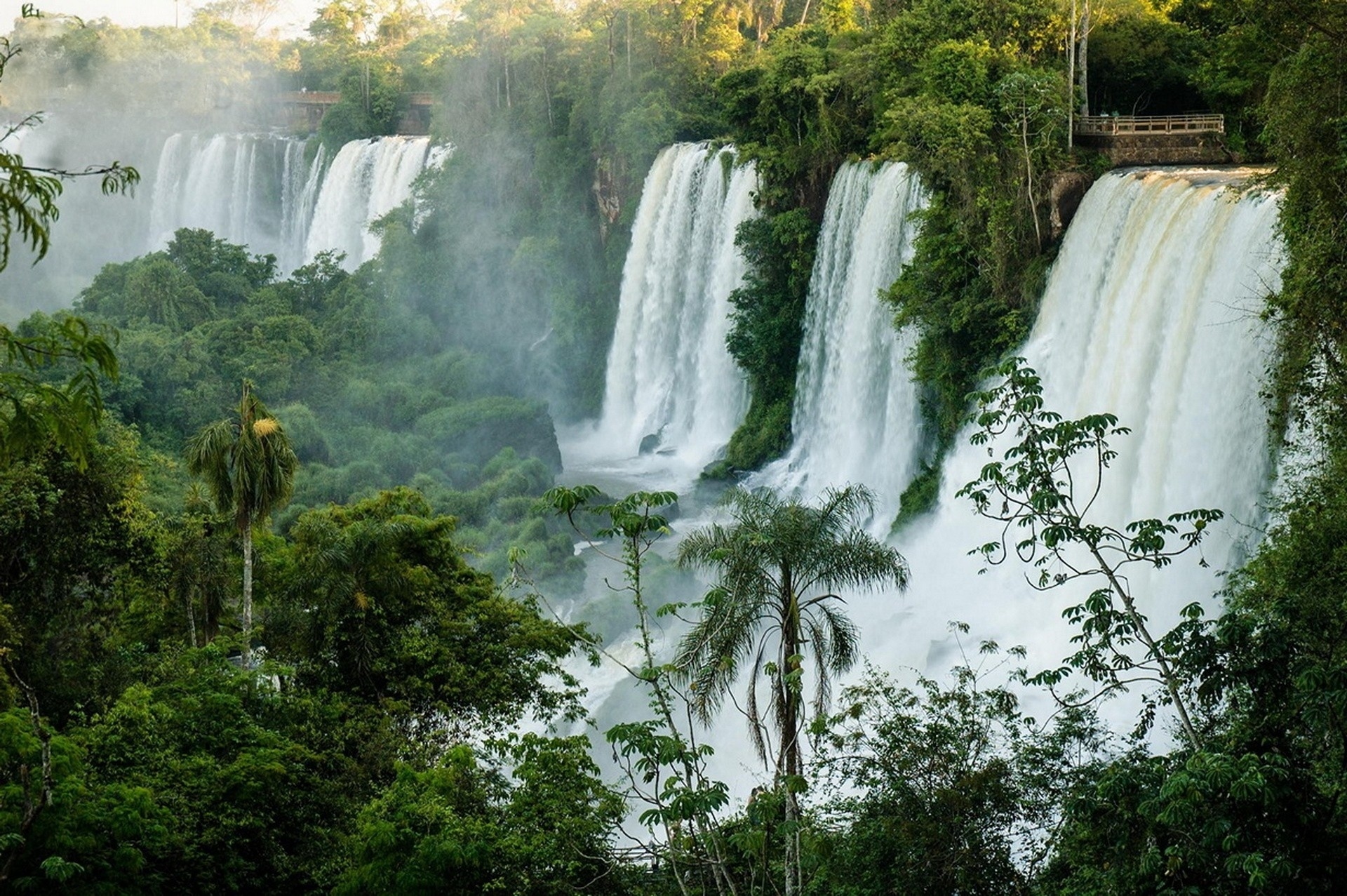 Forest Iguazu Falls Nature Vegetation Water Waterfall 1920x1277