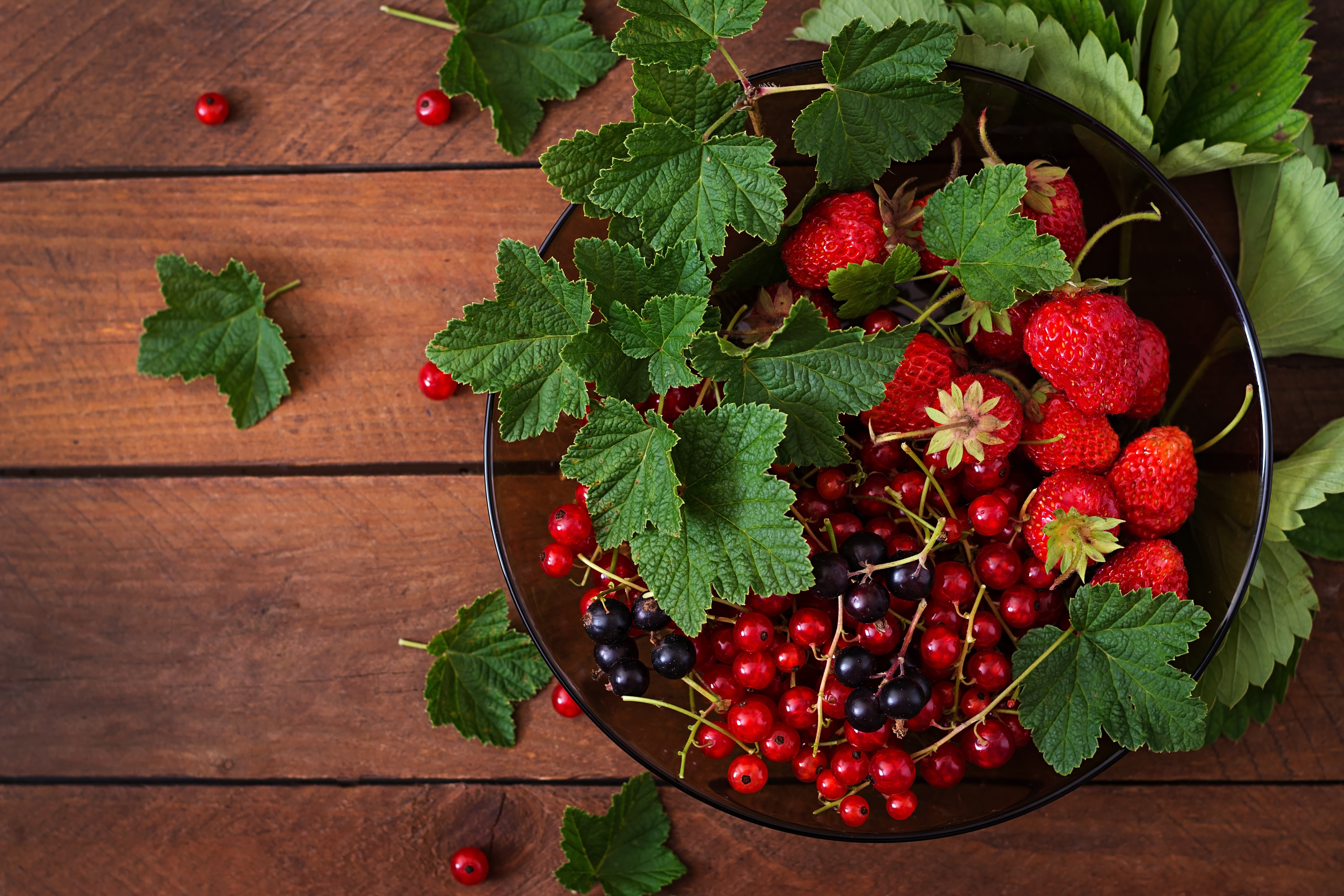 Berry Currants Fruit Strawberry 6000x4000