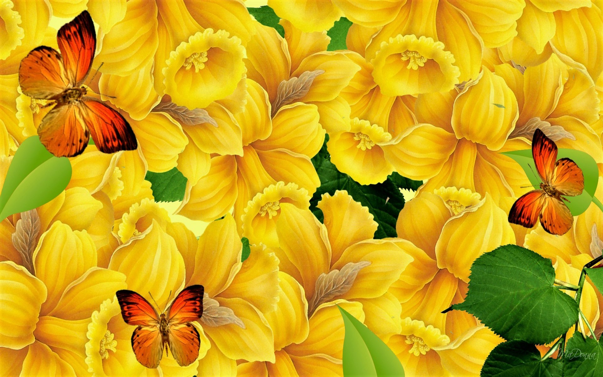 Artistic Butterfly Daffodil Flower Yellow Flower Orange Color 1920x1200