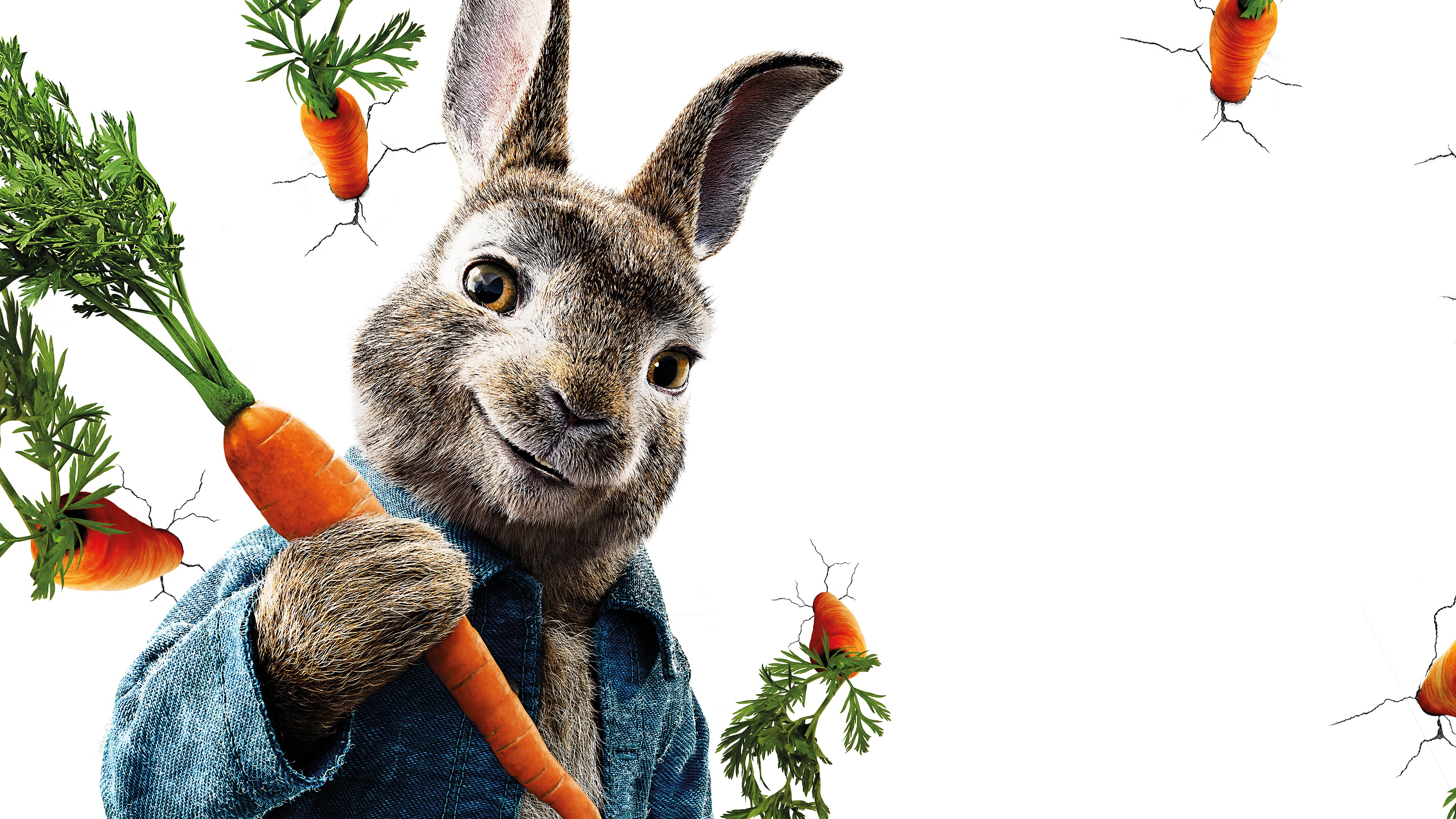 Carrot Peter Rabbit Rabbit 3840x2160