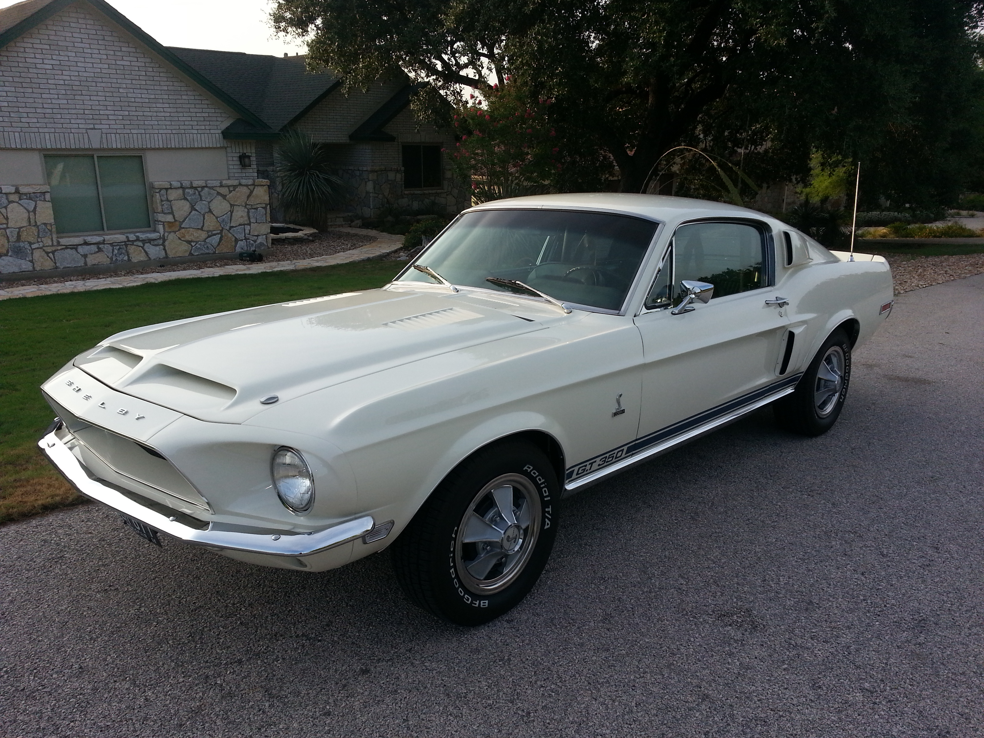 Car Fastback Ford Shelby Gt350 Muscle Car White Car 3264x2448