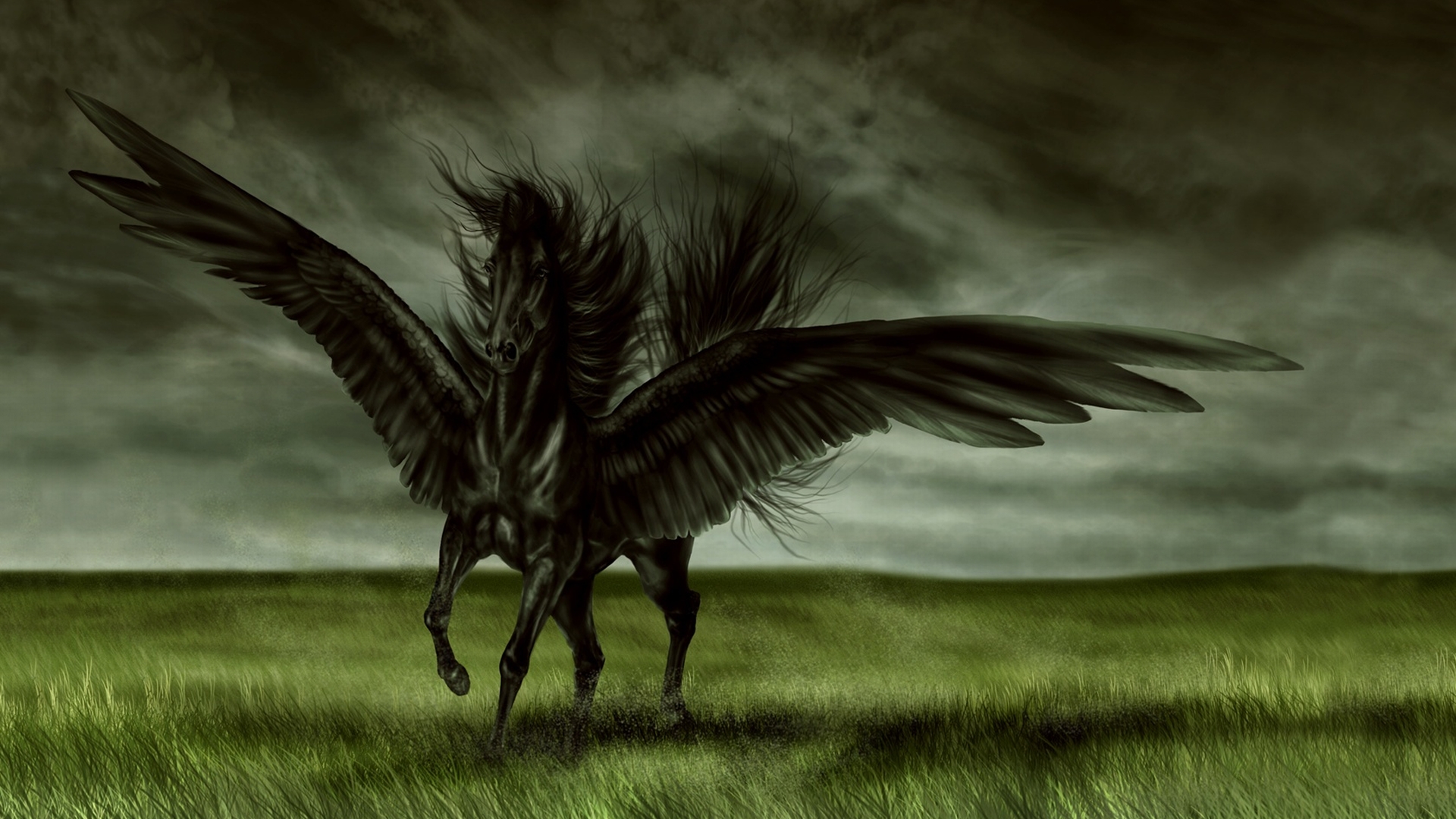Black Field Pegasus 1920x1080