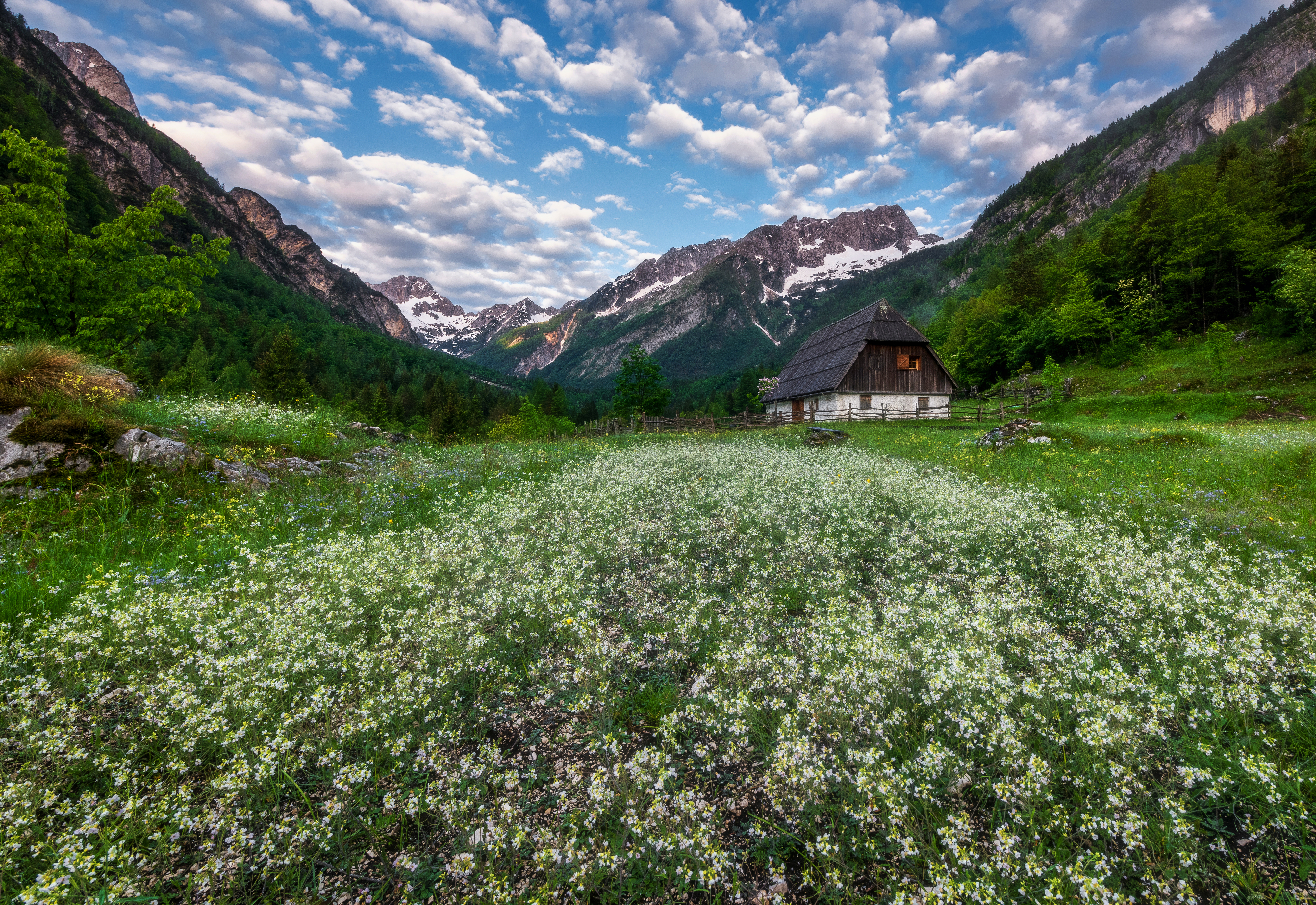Cottage Flower House Meadow Mountain Spring 4000x2750