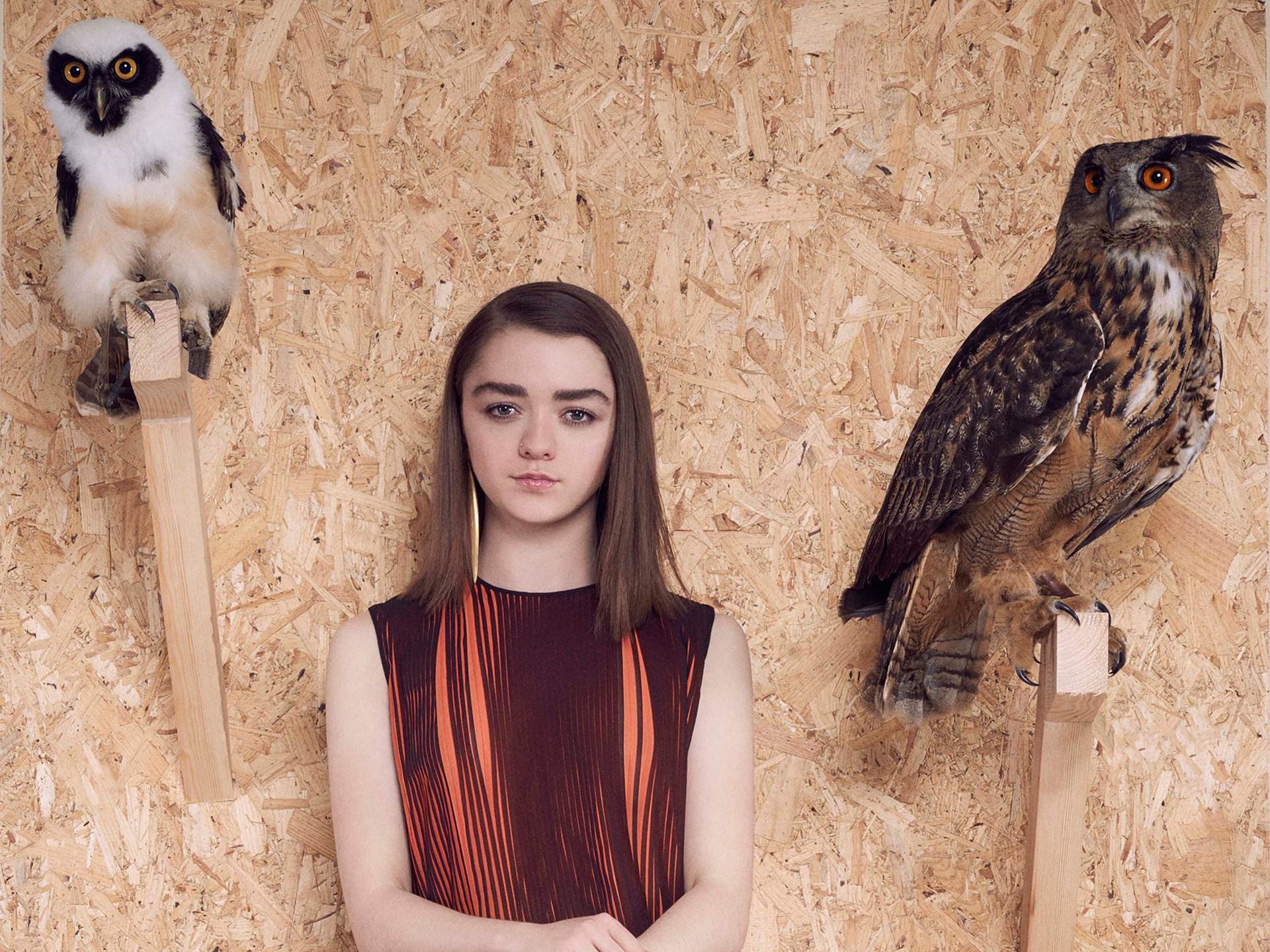 Actress Brunette English Maisie Williams Owl 1920x1439