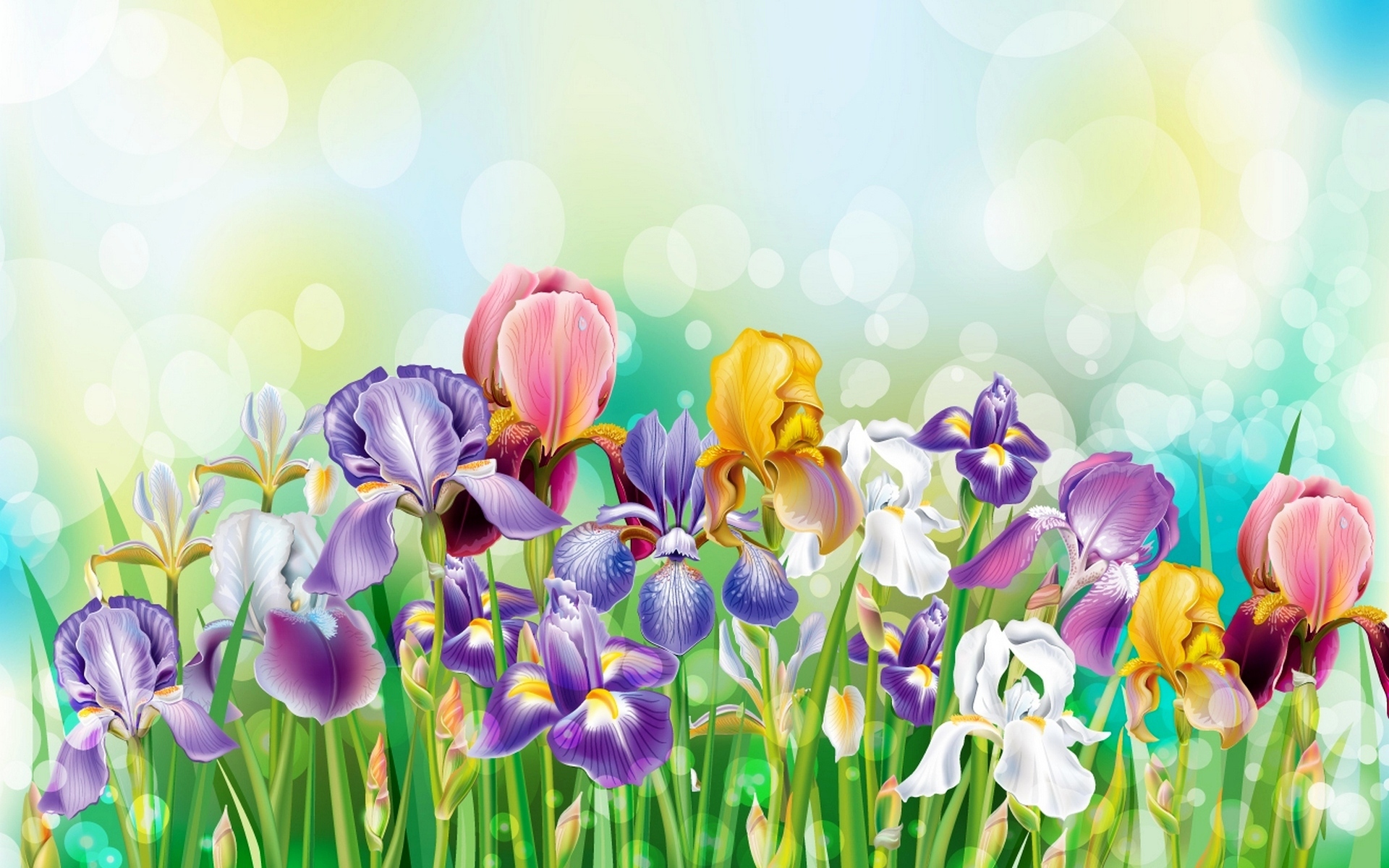 Artistic Colorful Colors Flower Grass Iris Spring 1920x1200