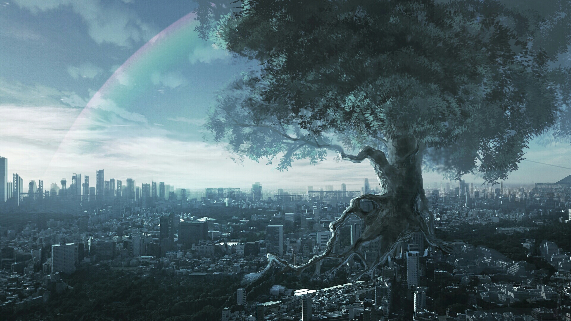 City Cloud Rainbow Sky Tree 1920x1080