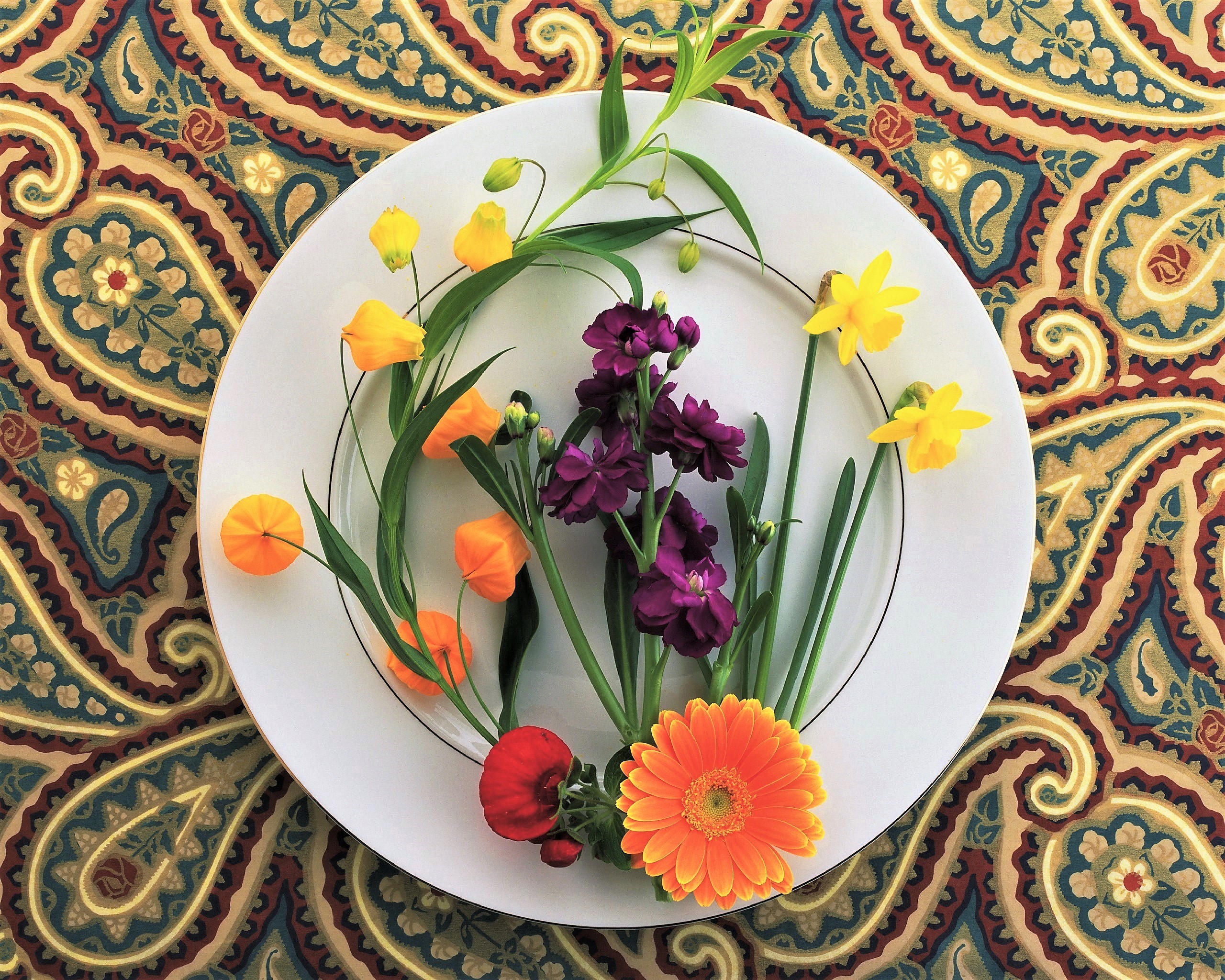 Colorful Flower Plate Still Life 2560x2048