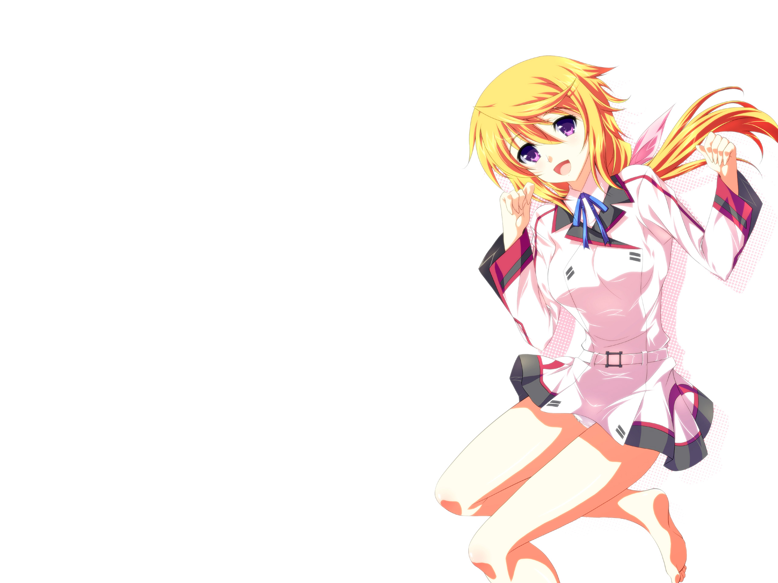 Anime Infinite Stratos 2560x1920