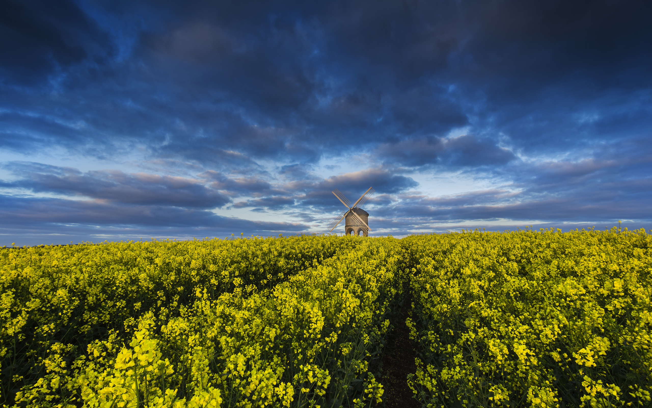 Blue Cloud Field Man Made Rapeseed Sky Windmill Yellow 2560x1600