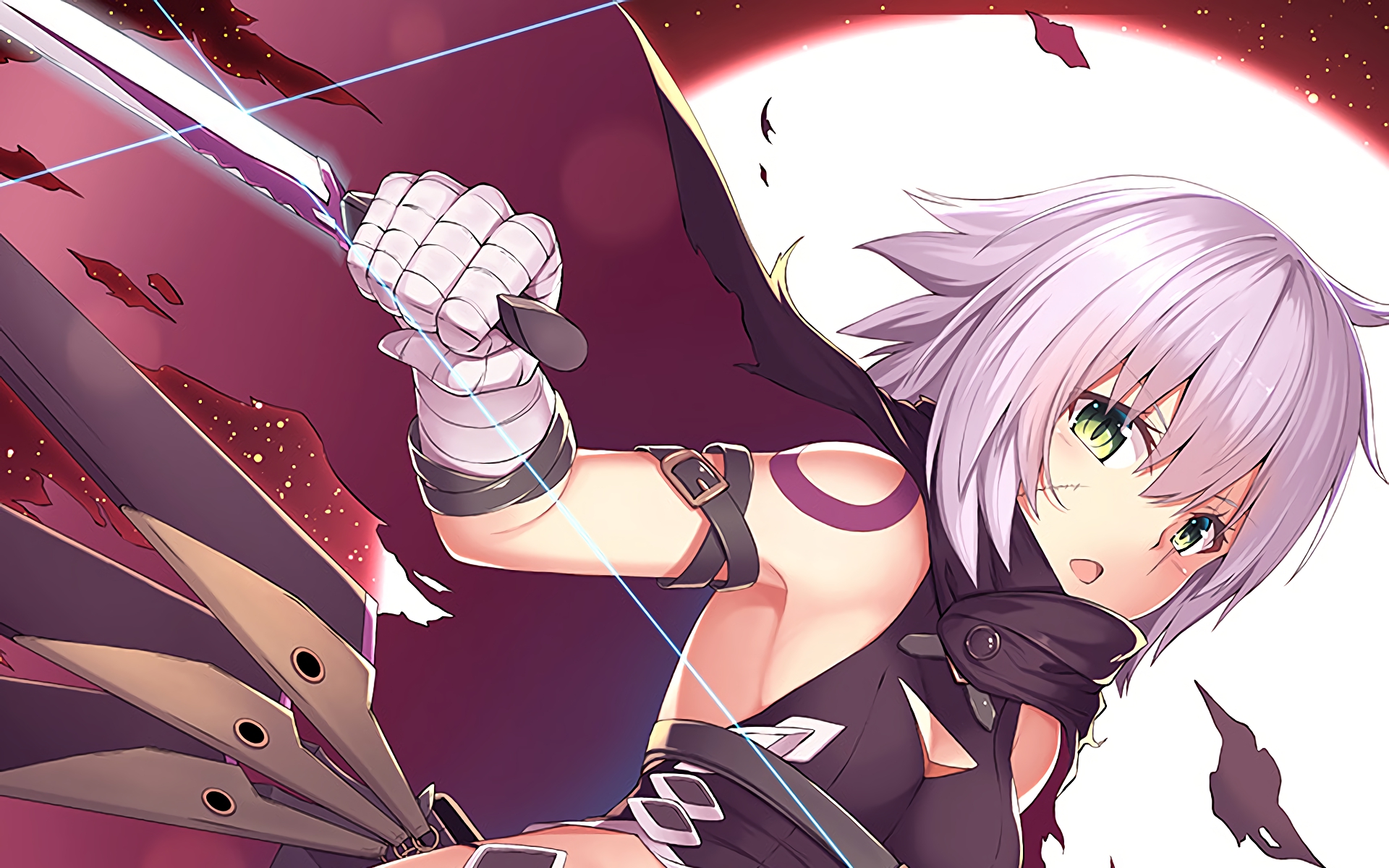 Assassin Of Black Fate Apocrypha 1920x1200