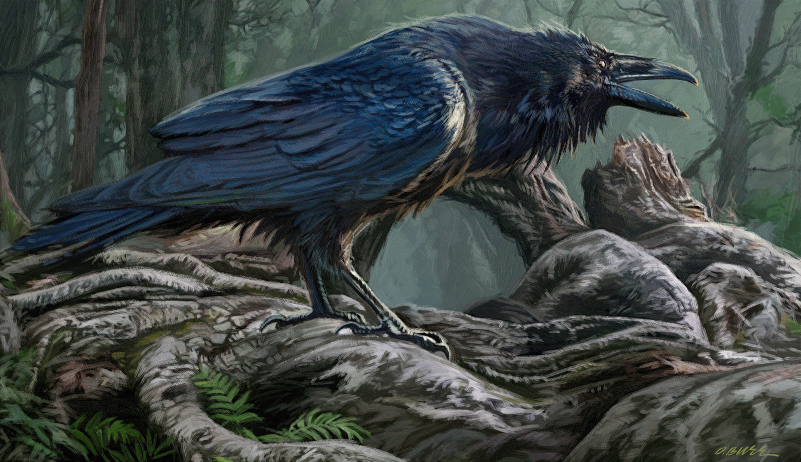Animal Raven 1600x924