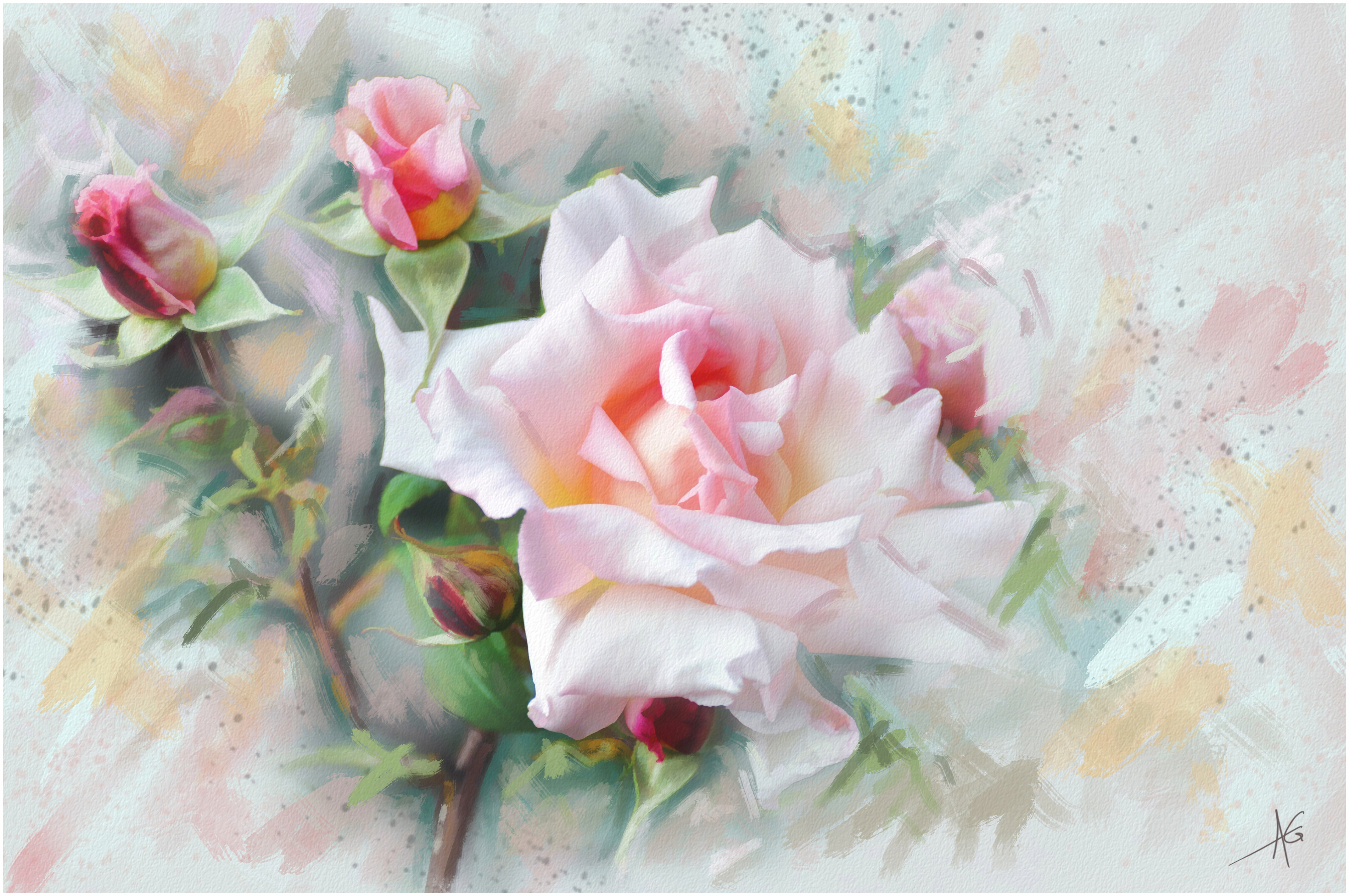 Bud Flower Painting Pink Flower Pink Rose Rose Watercolor 4288x2848