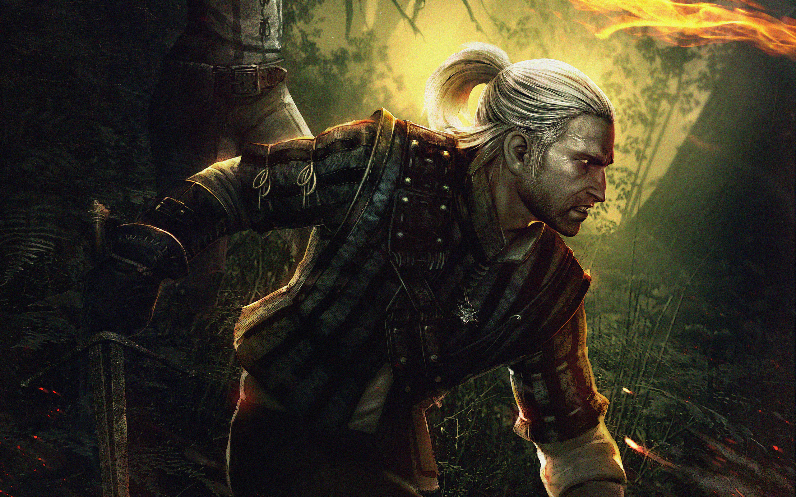 Video Game The Witcher 2 Assassins Of Kings 2560x1600