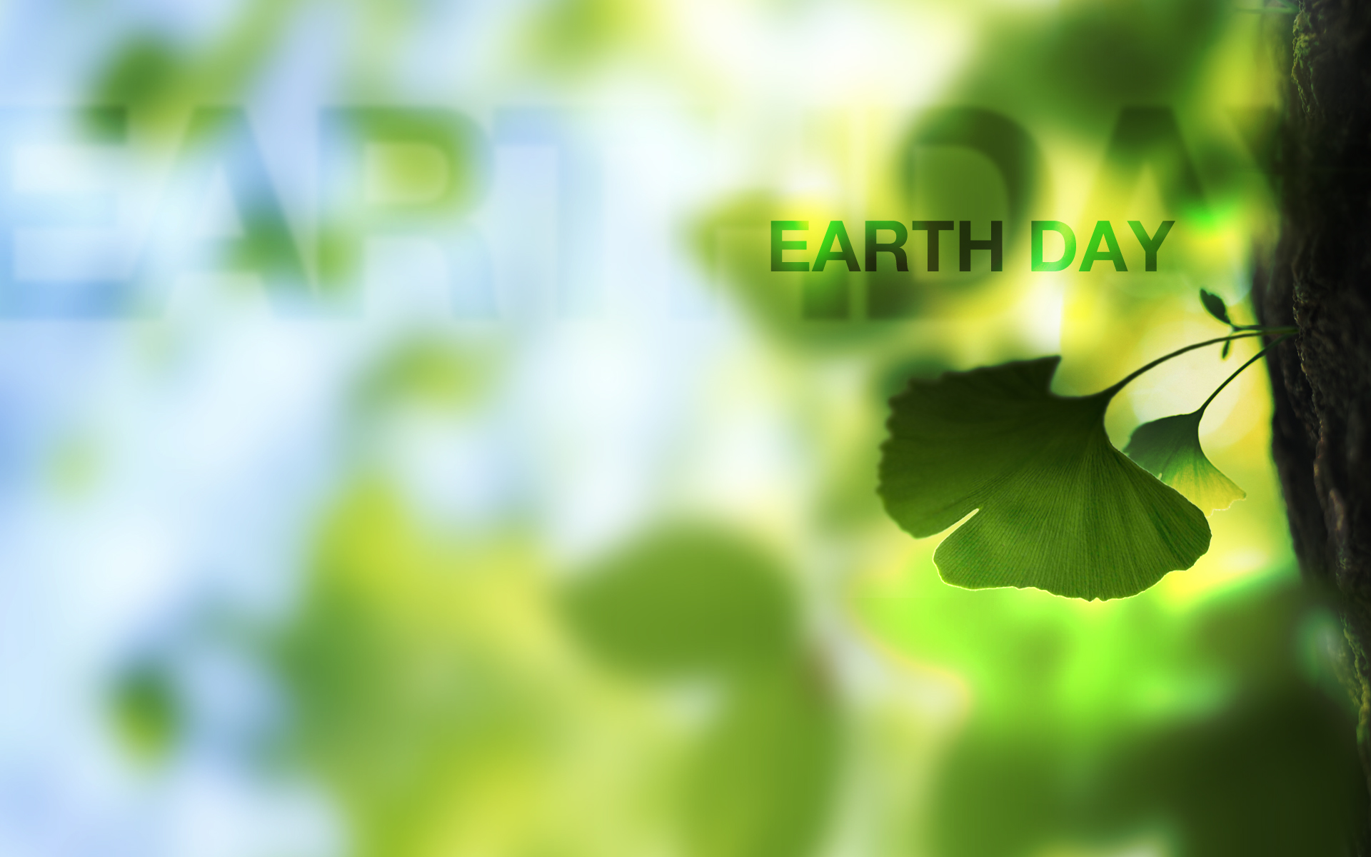 Blur Earth Day Leaf 1920x1200