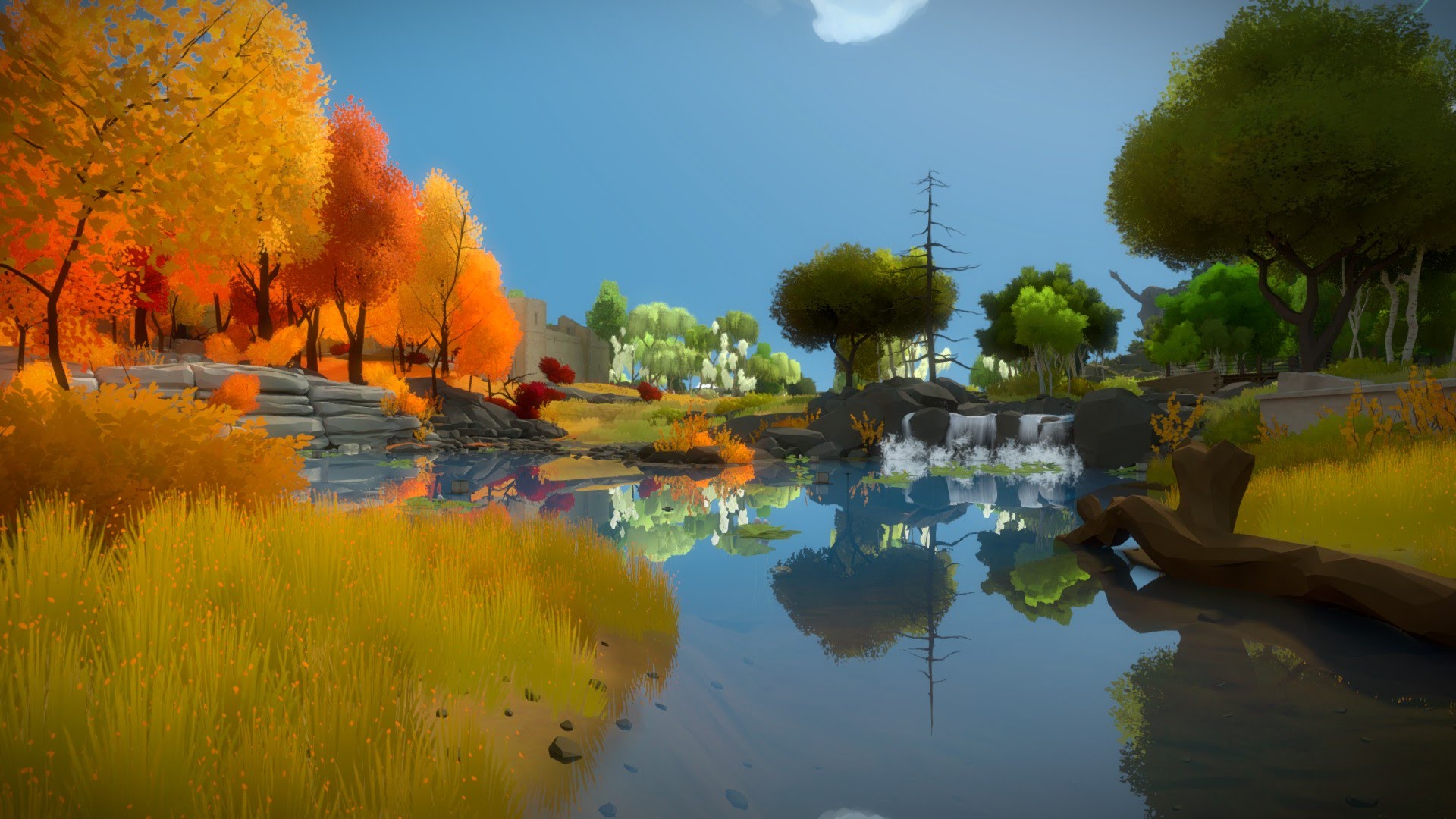 Reflection The Witness 1920x1080