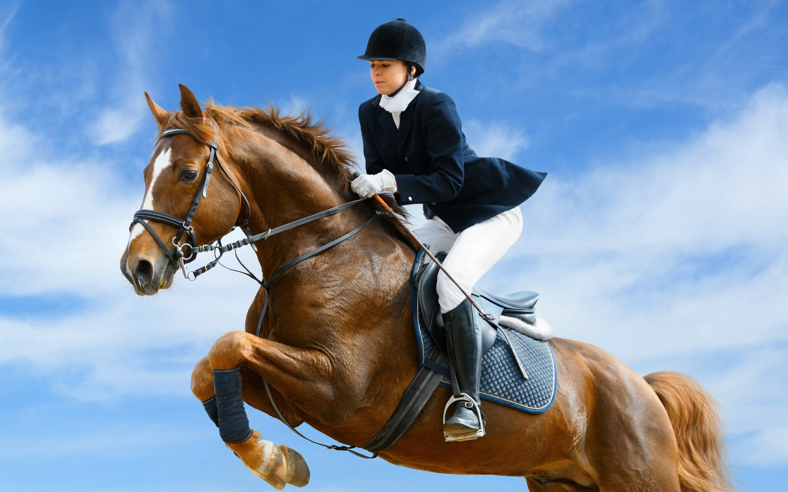 Equestrian Horse Show Jumping Woman 2560x1600