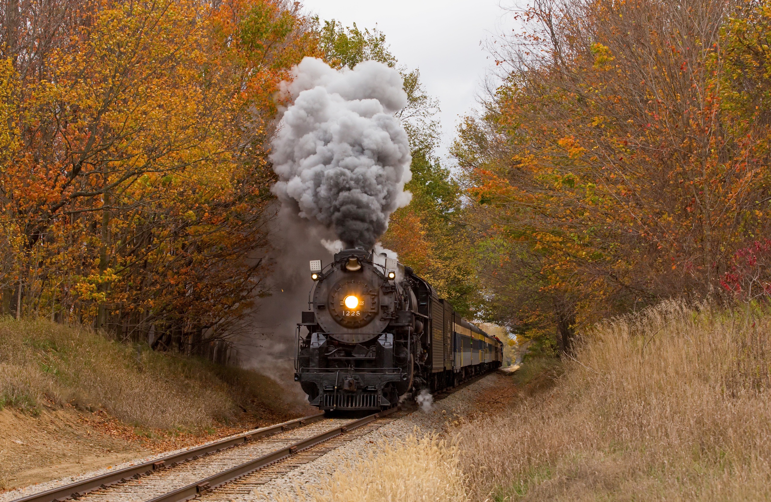 Fall Locomotive Railroad Smoke Train Vehicle 2560x1668
