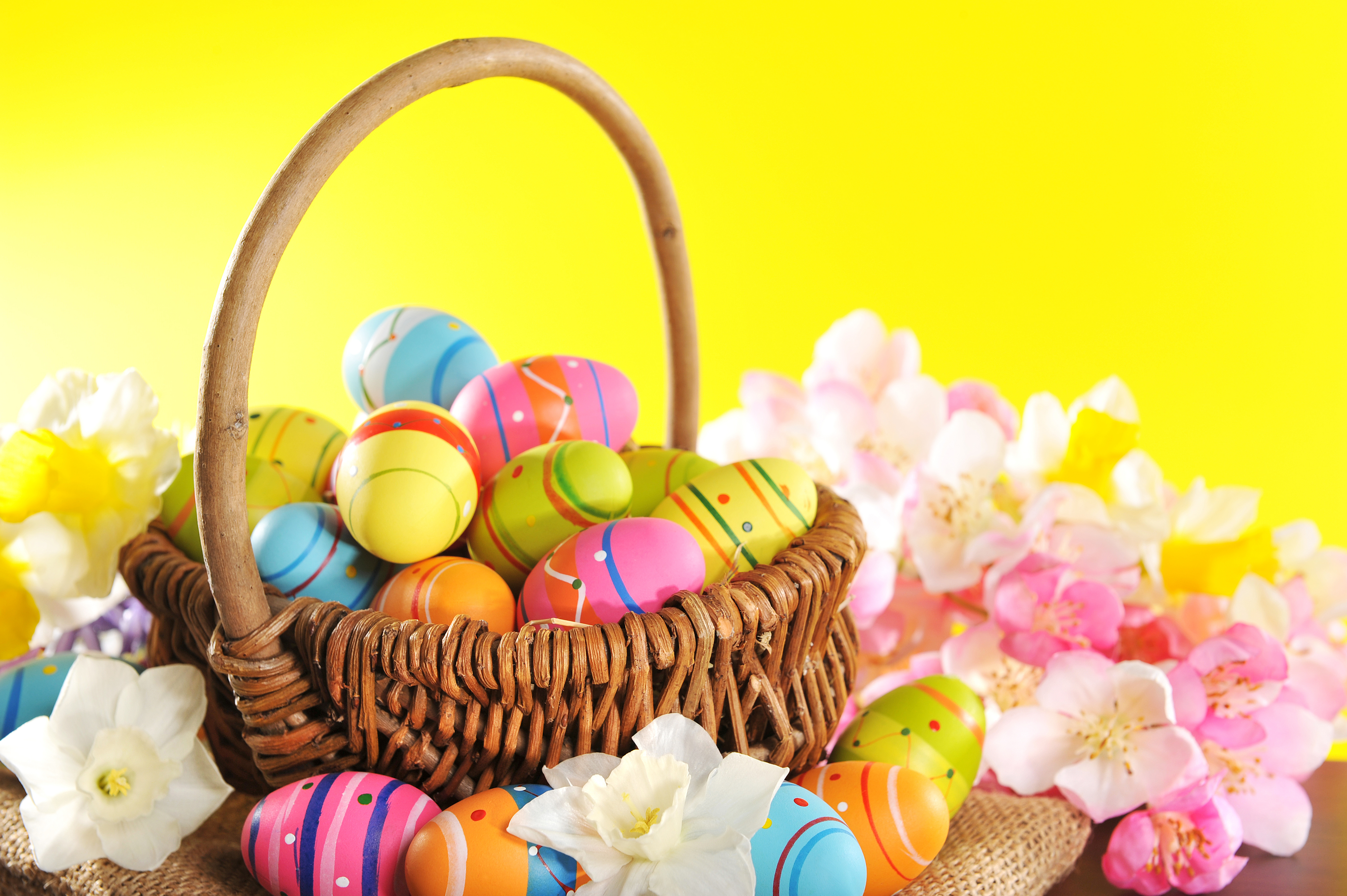 Basket Colorful Easter Easter Egg Flower Holiday Wicker 7003x4660