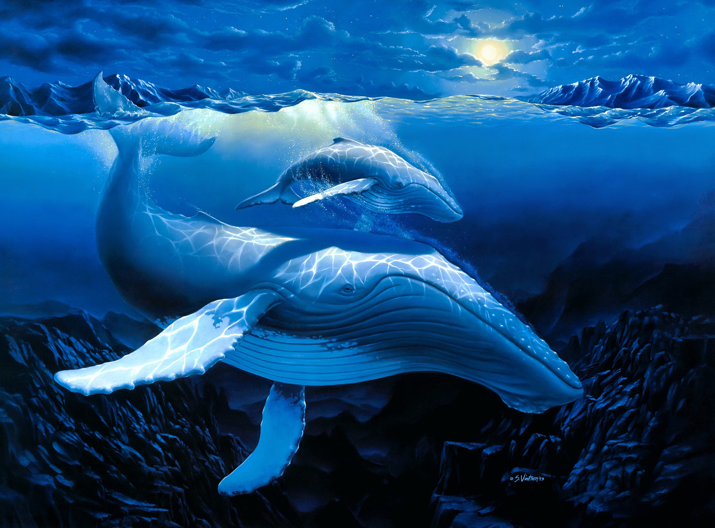Artistic Baby Animal Painting Sea Life Underwater Whale 2402x1773