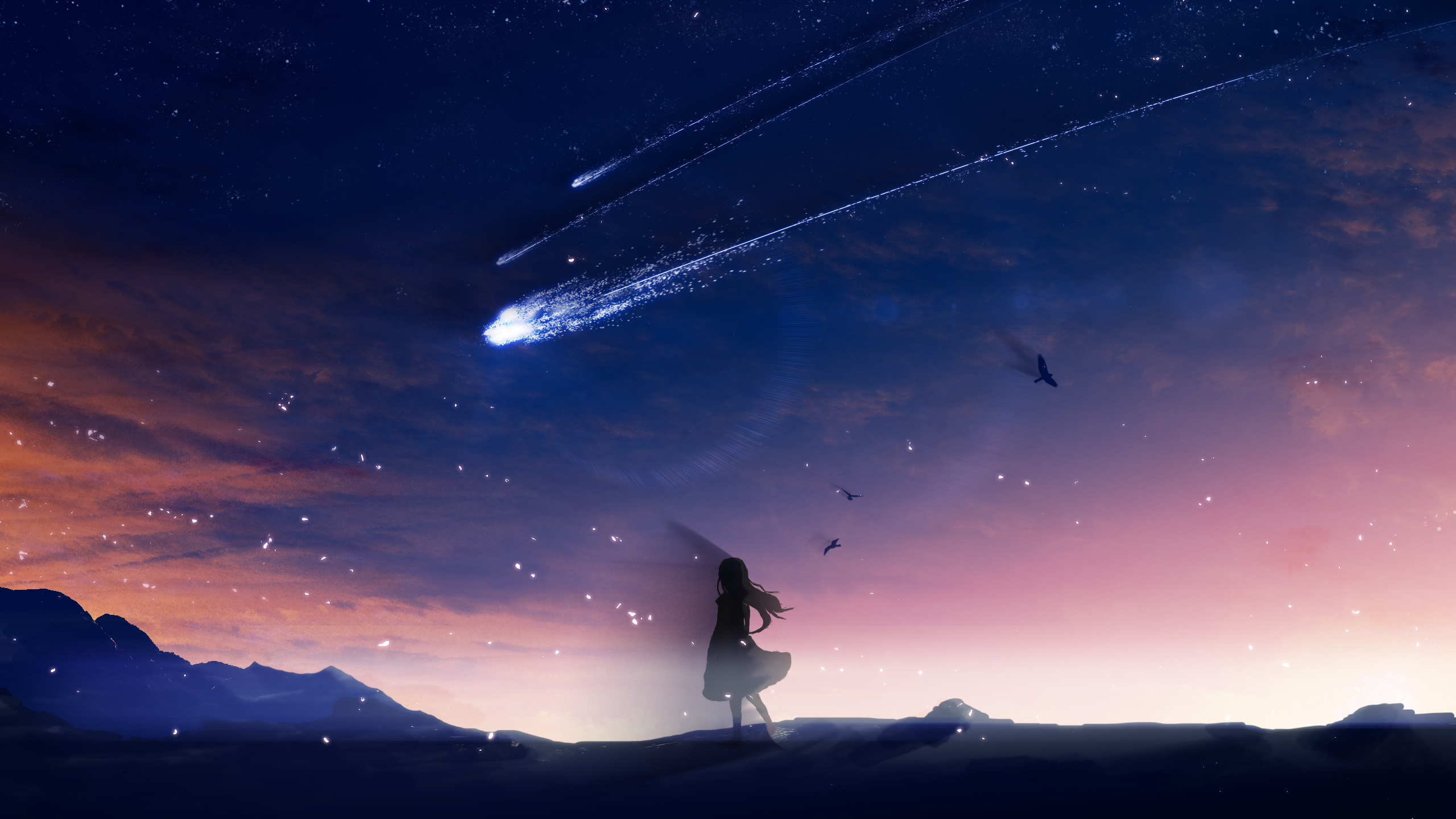 Comet Girl Night 2560x1440