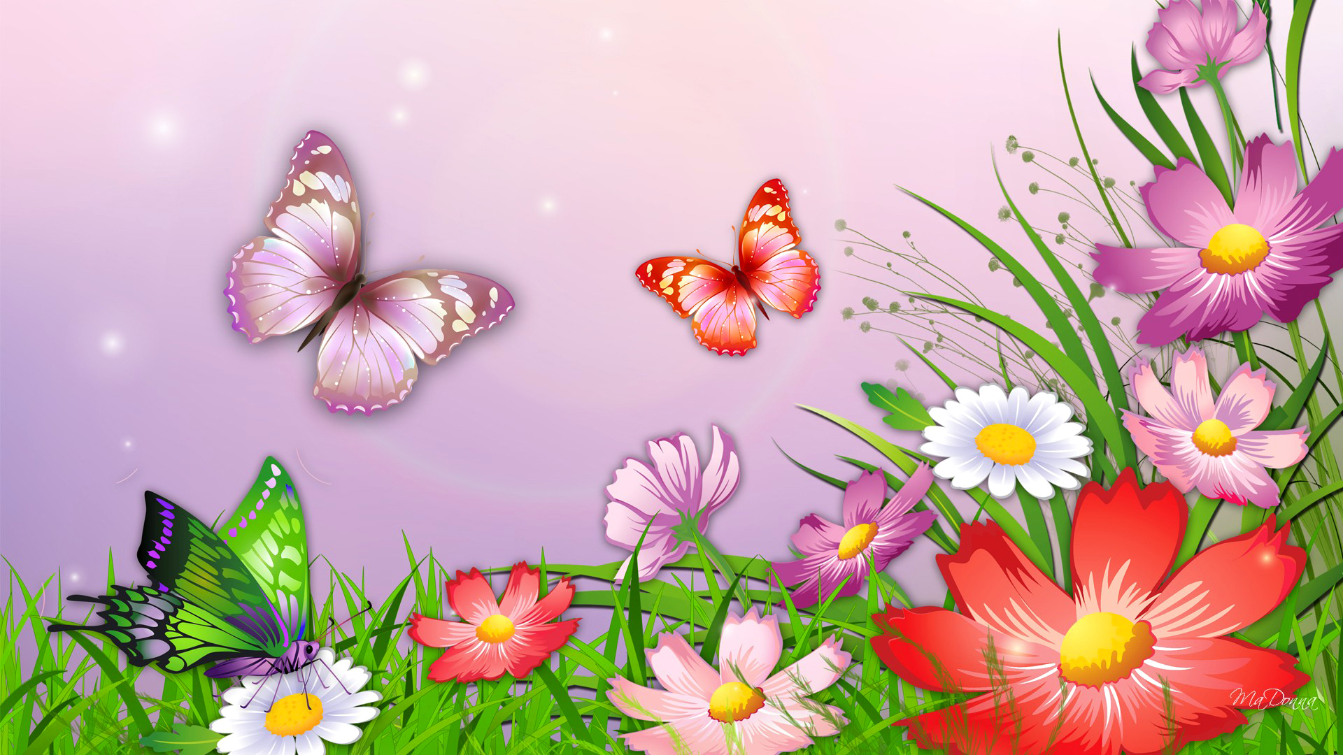 Artistic Butterfly Flower Spring 1920x1080