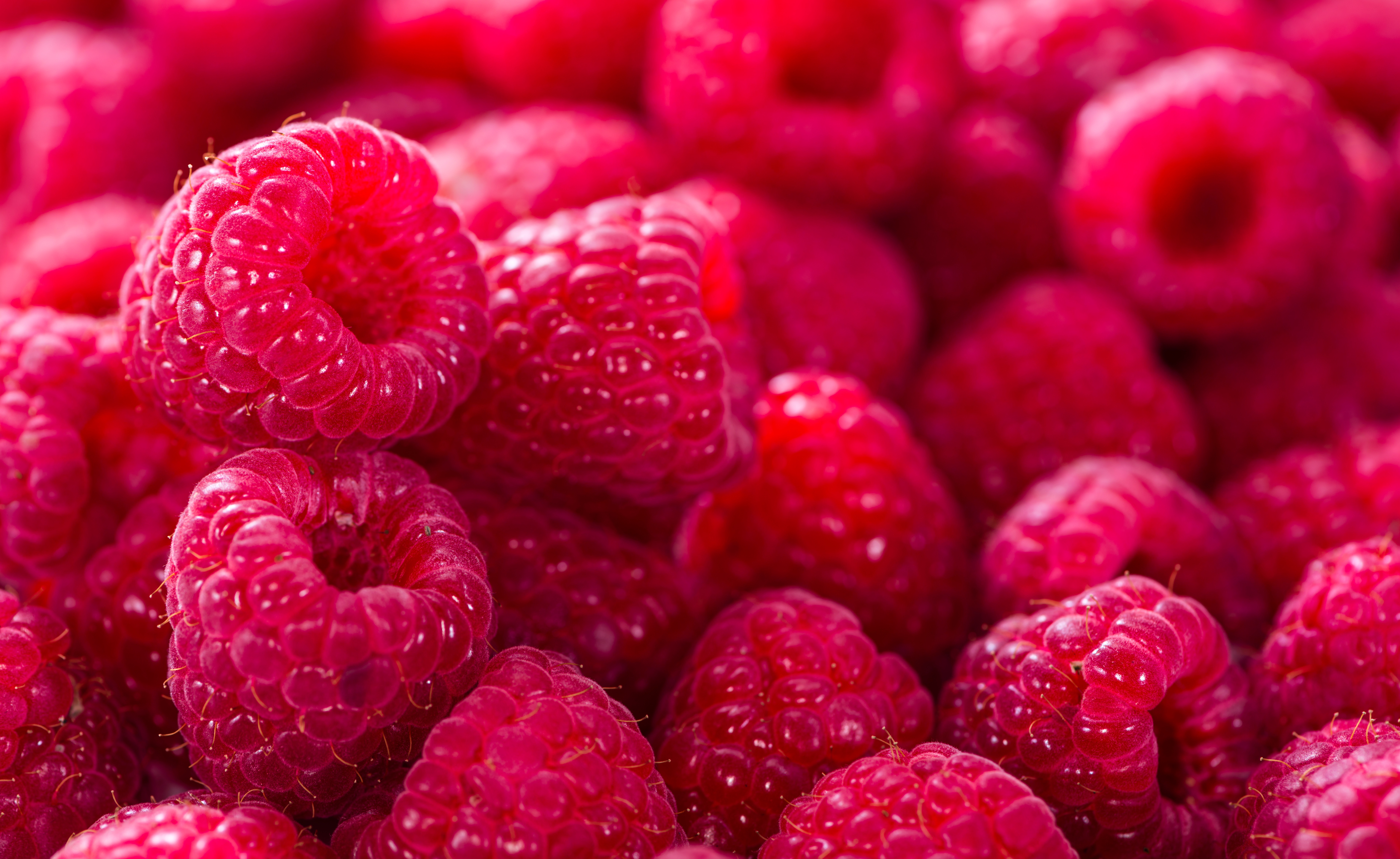 Berry Fruit Raspberry 7360x4517