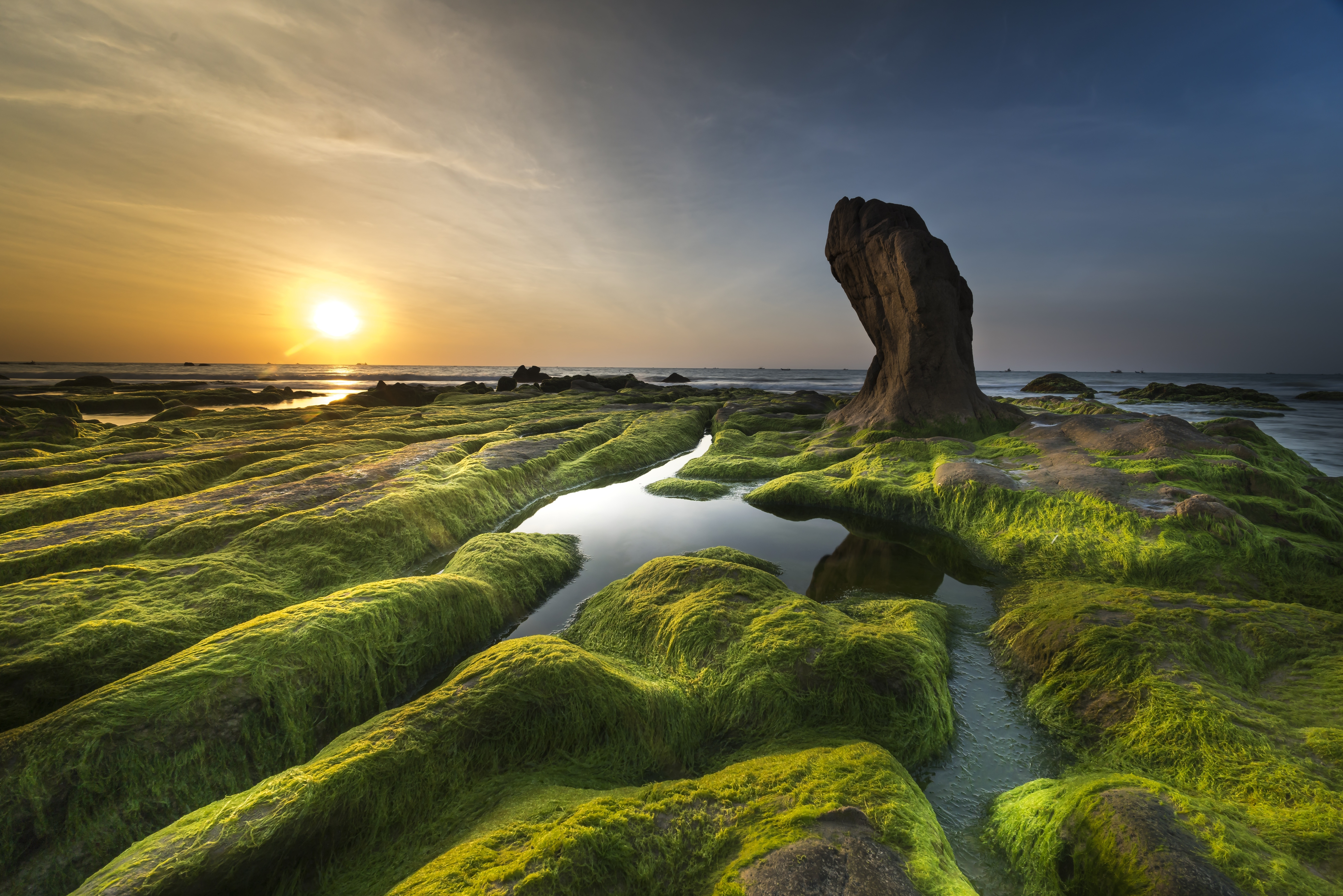 Coast Horizon Rock Sea Seascape Seaweed Shore Stone Sun 6000x4002