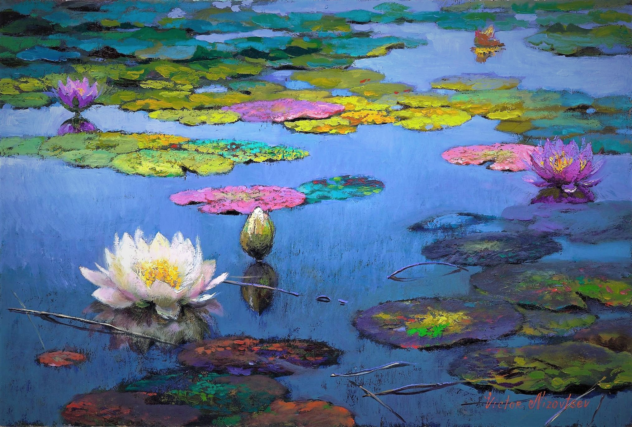 Artistic Colorful Colors Lily Pad Painting Pond Water Lily 2030x1372