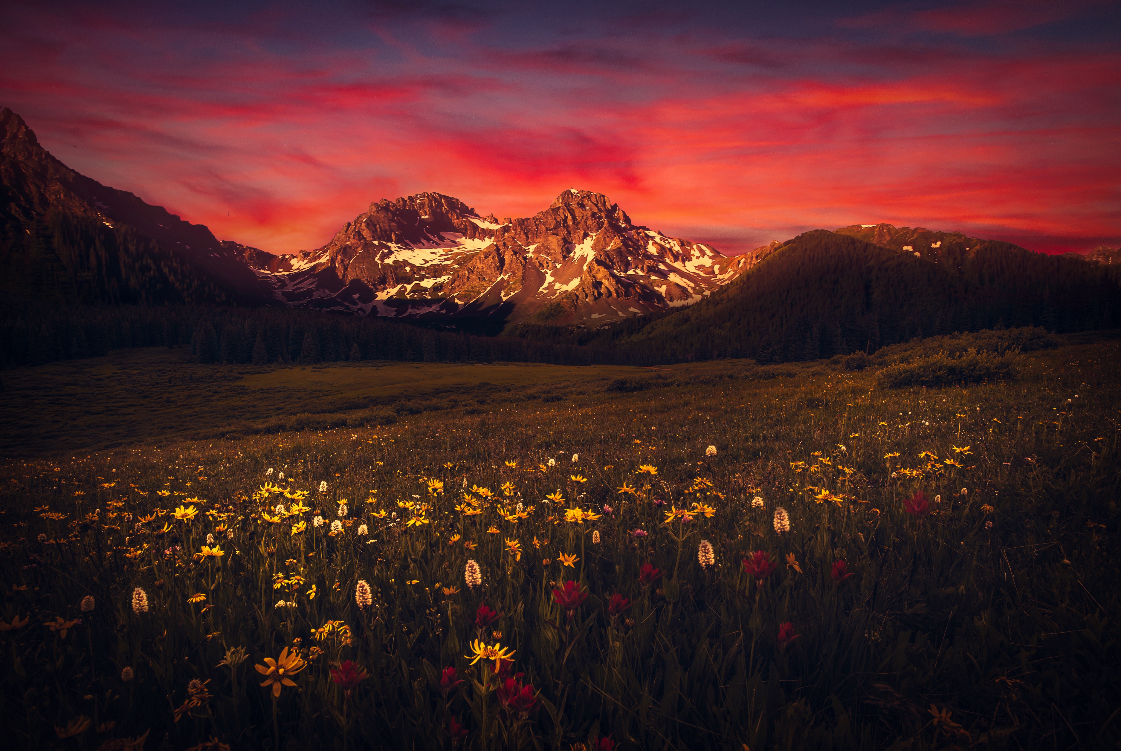 Flower Landscape Meadow Mountain Nature Sunset 3750x2513