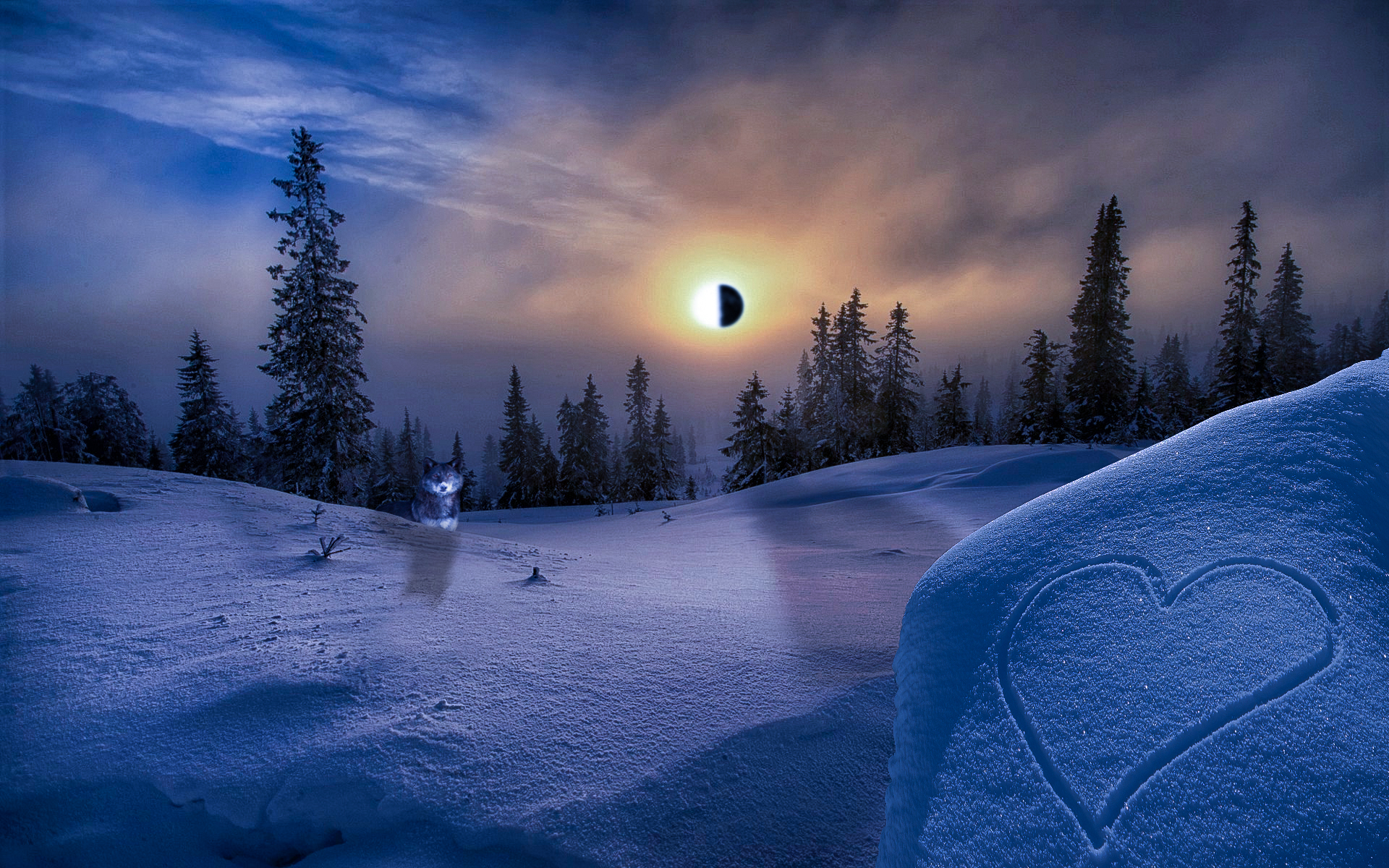 Eclipse Forest Sky Snow Sunset Winter Wolf 1920x1200
