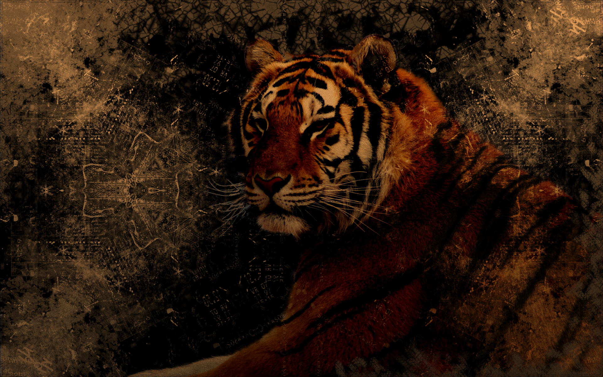 Grunge Tiger 1920x1200