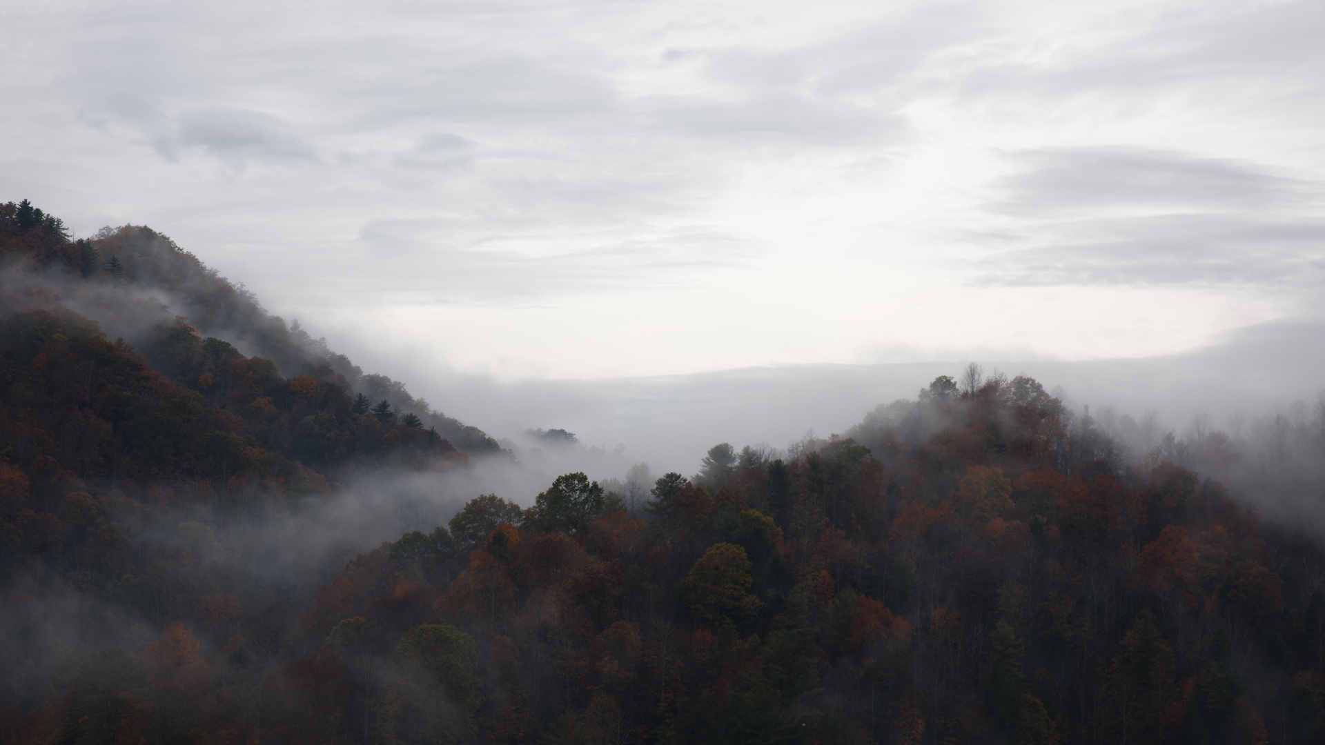 Nature Landscape Trees Forest Sky Clouds Mist Fall North Carolina USA 1920x1080
