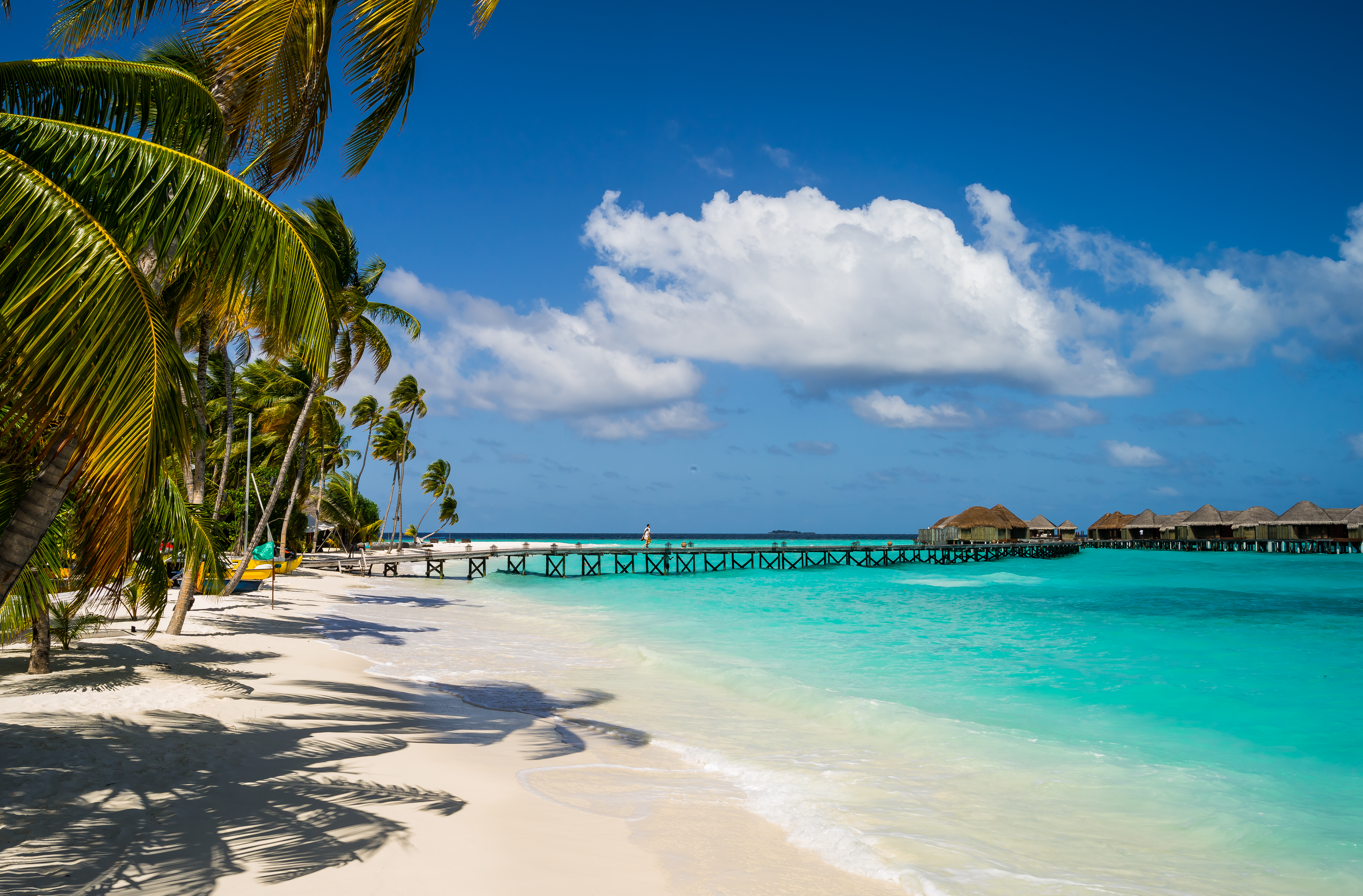 Beach Constance Halaveli Resort Holiday Lagoon Maldives Palm Tree Pier Resort Sea Tropics 6827x4490