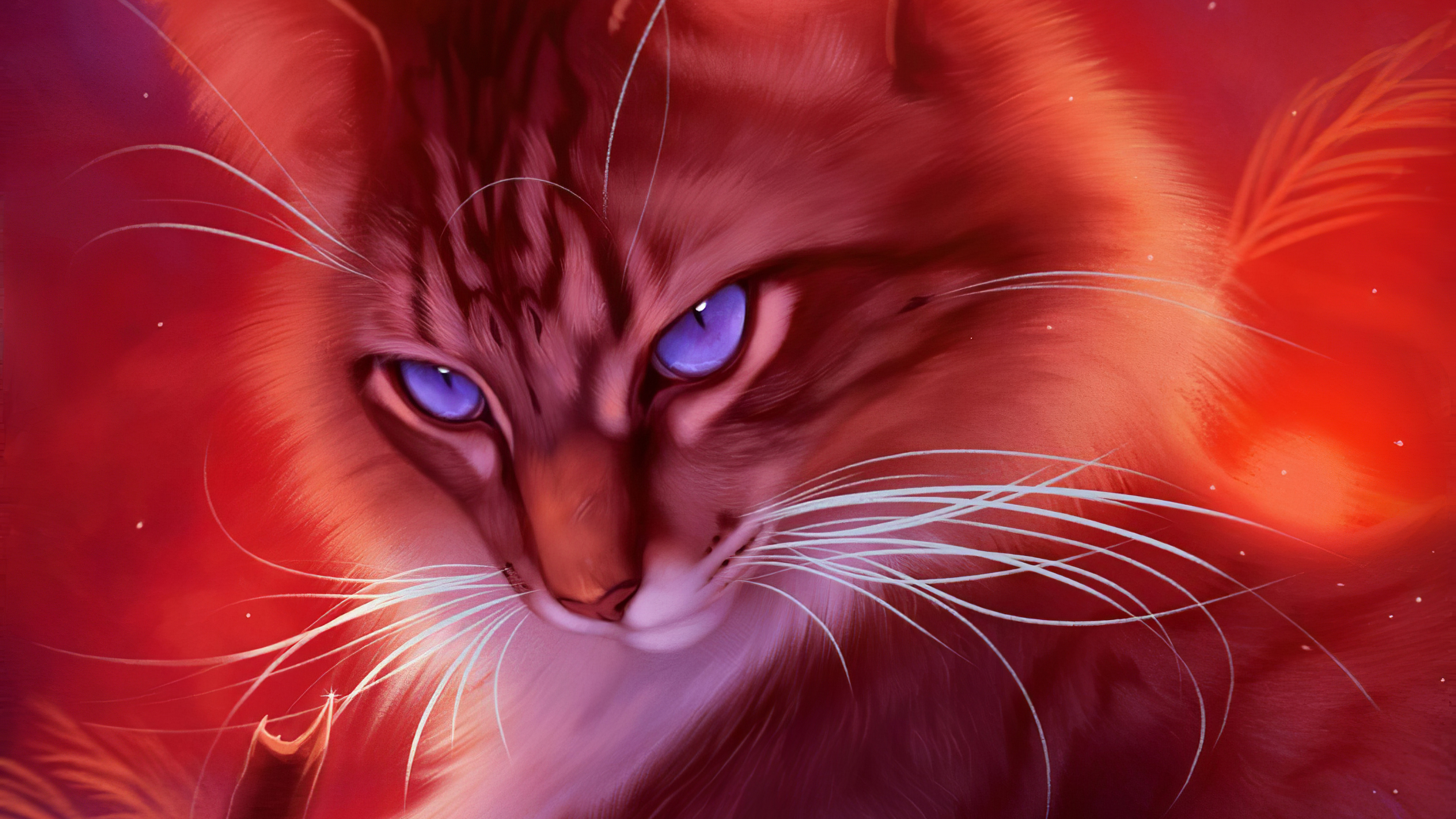 Blue Eyes Cat Face Whiskers 3840x2160
