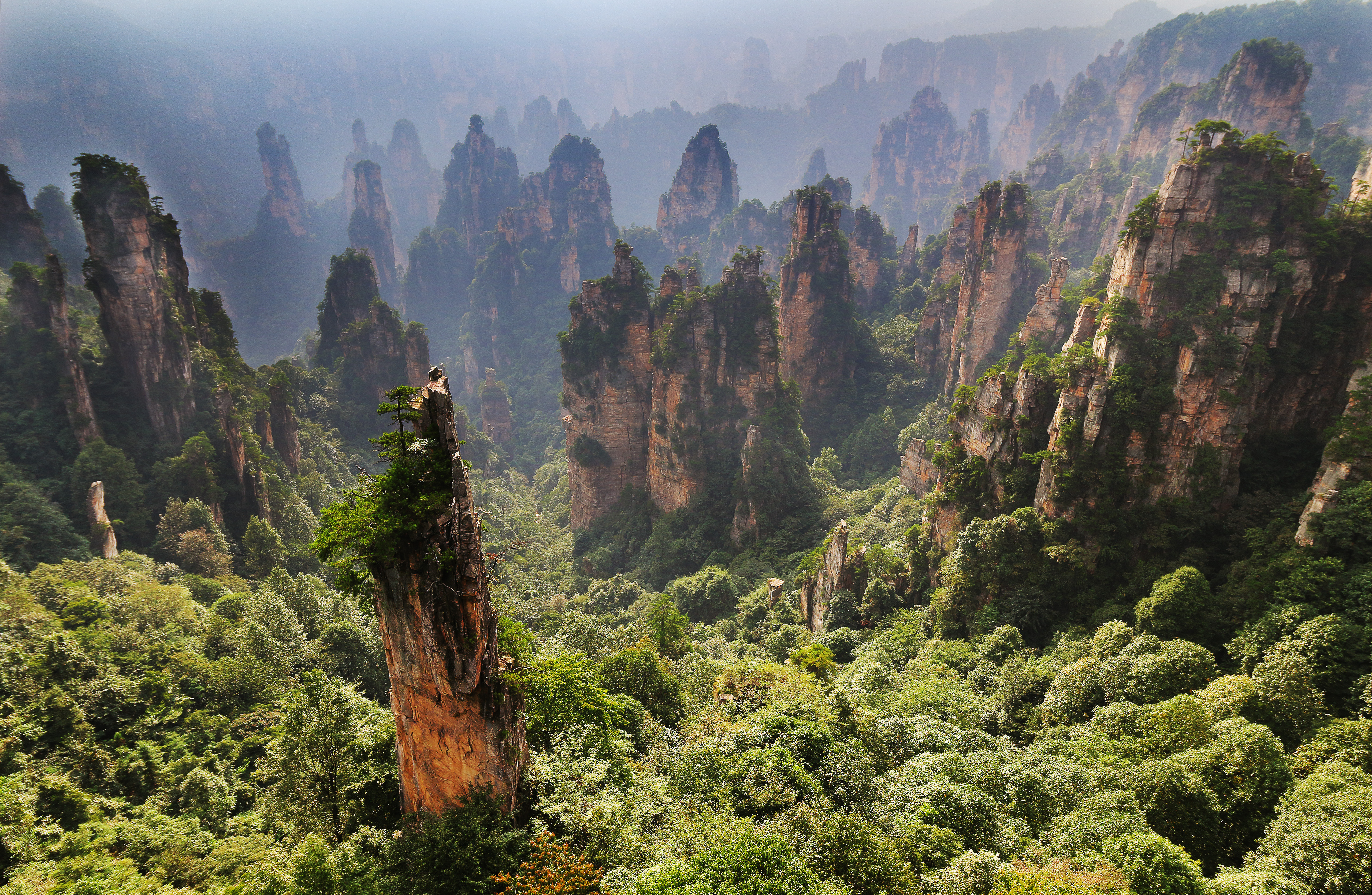 China Cliff Forest Hunan Rock 5119x3340