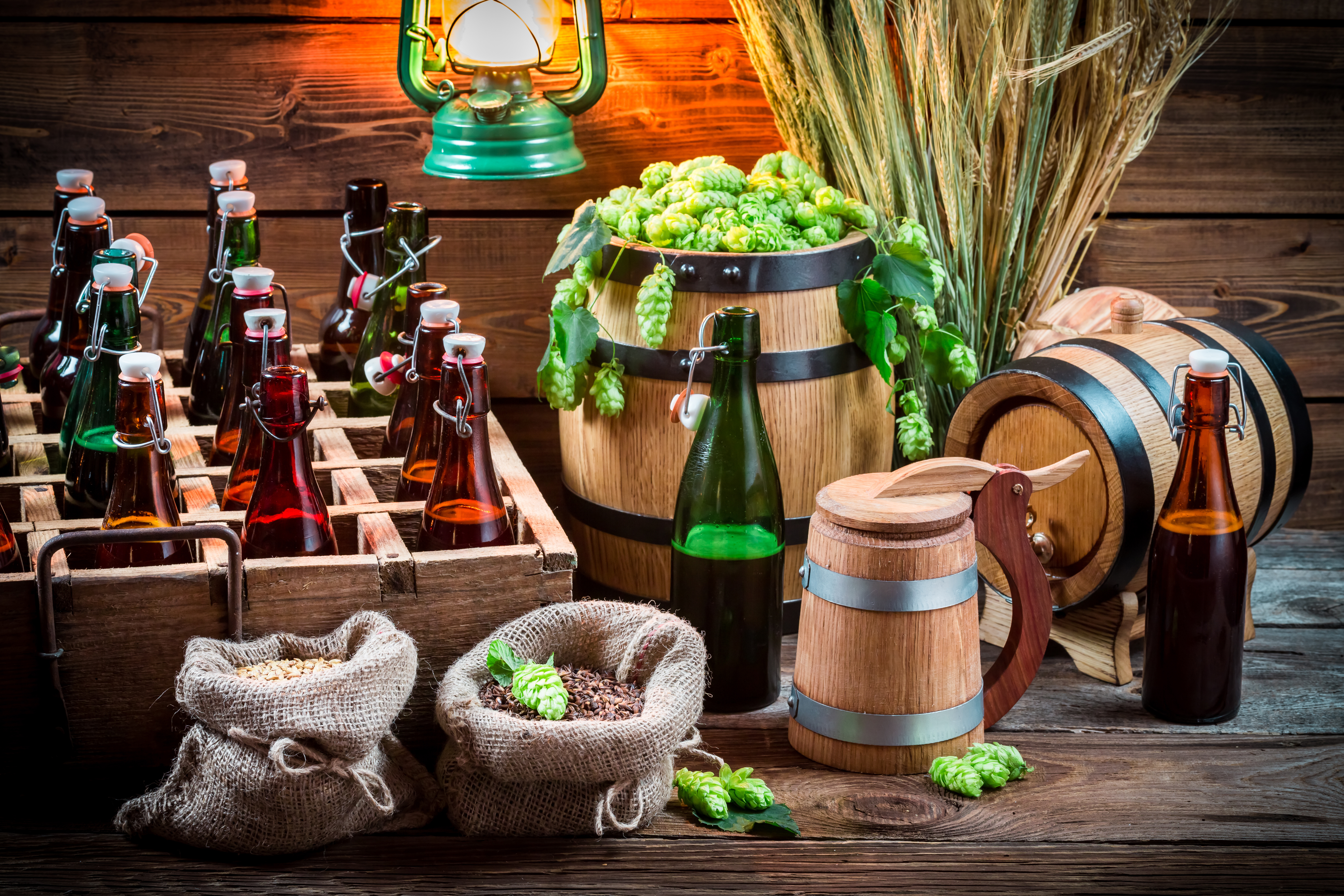 Alcohol Barrel Beer Bottle Hop Still Life 5760x3840