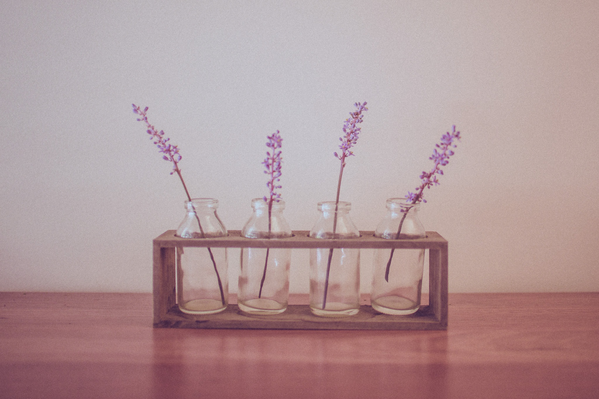 Flower Jar Purple Flower 2048x1365