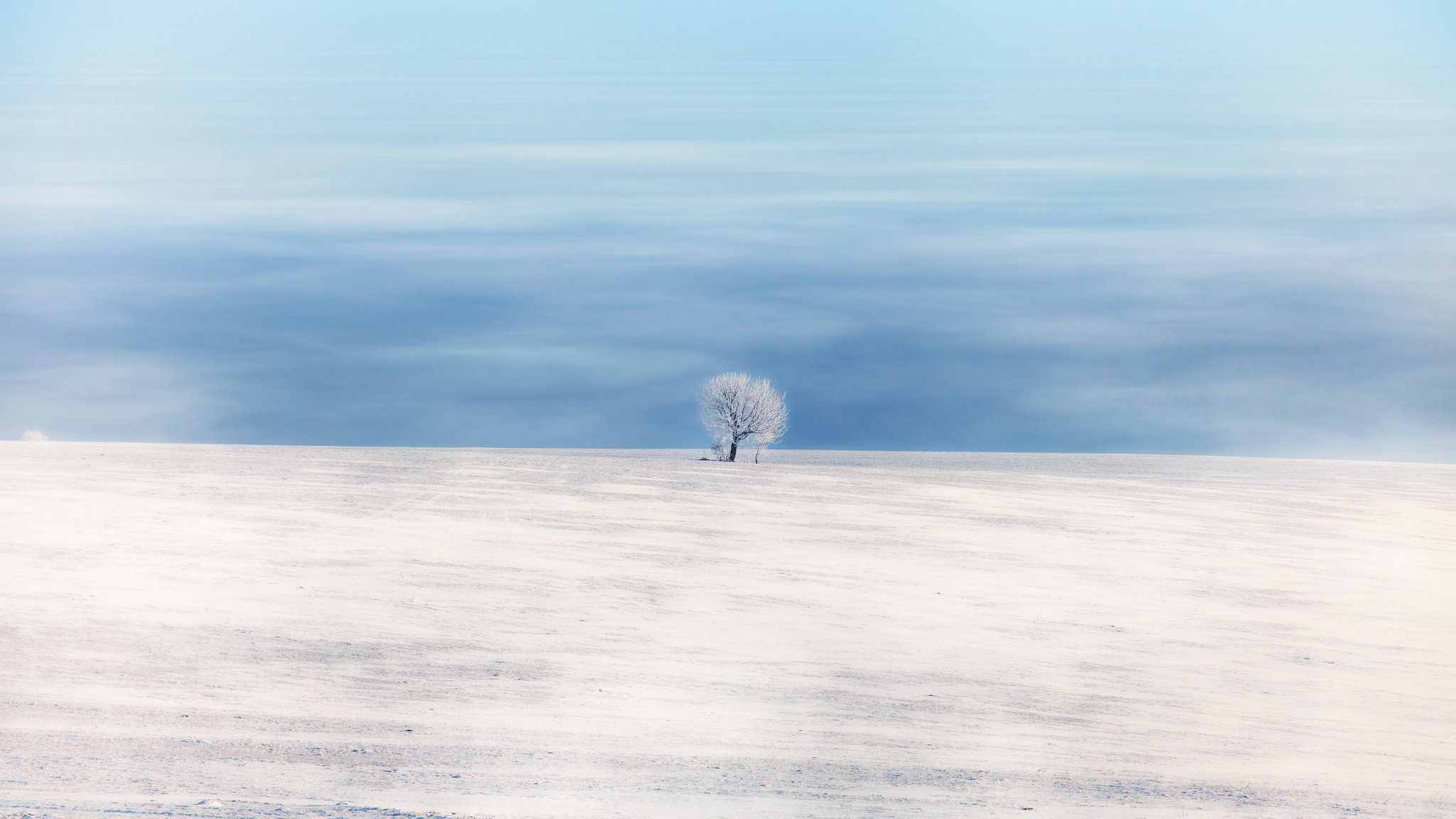 Horizon Lonely Tree Minimalist Nature Sky Snow White Winter 2048x1152