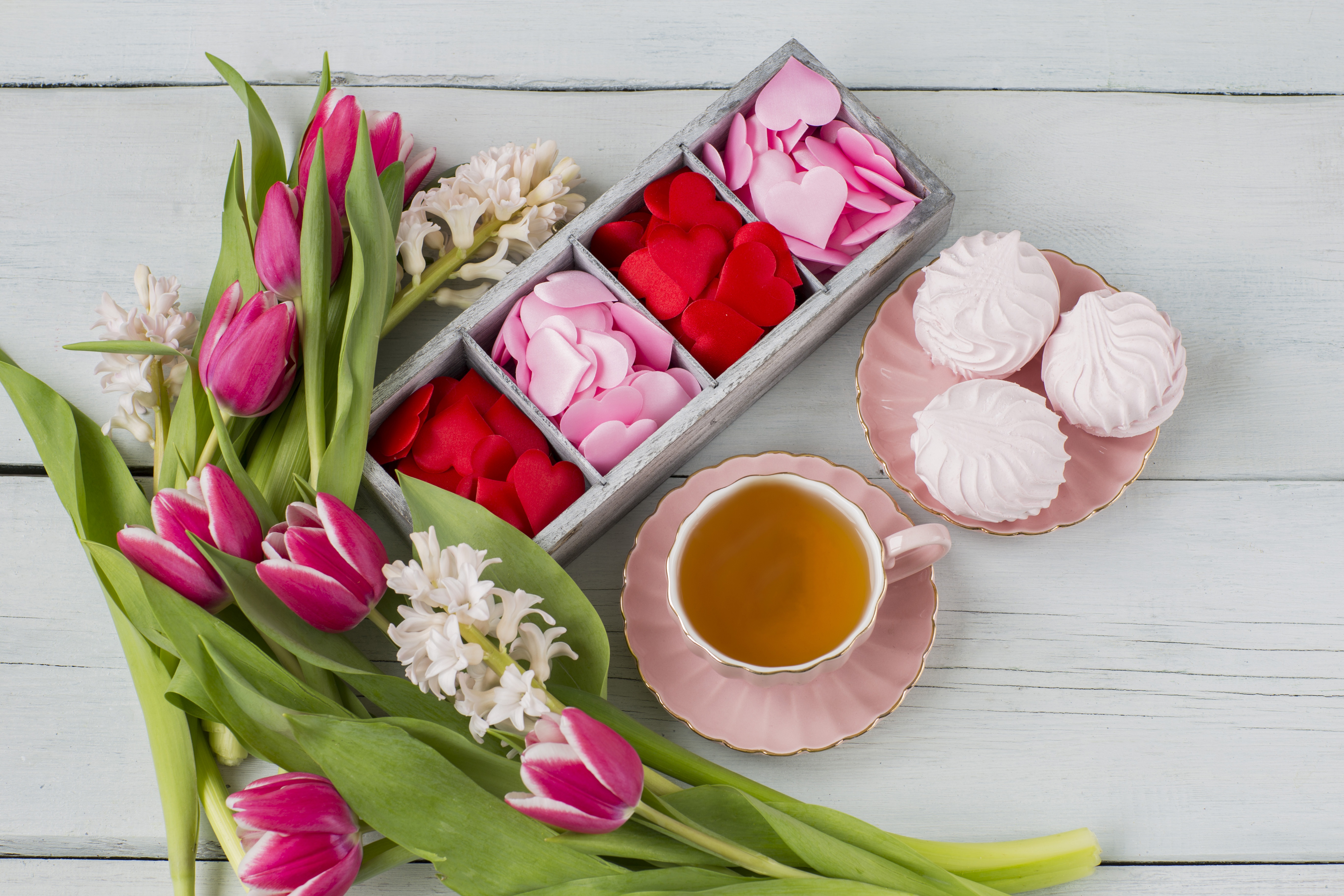 Cup Meringue Pink Flower Still Life Tea Tulip 5472x3648