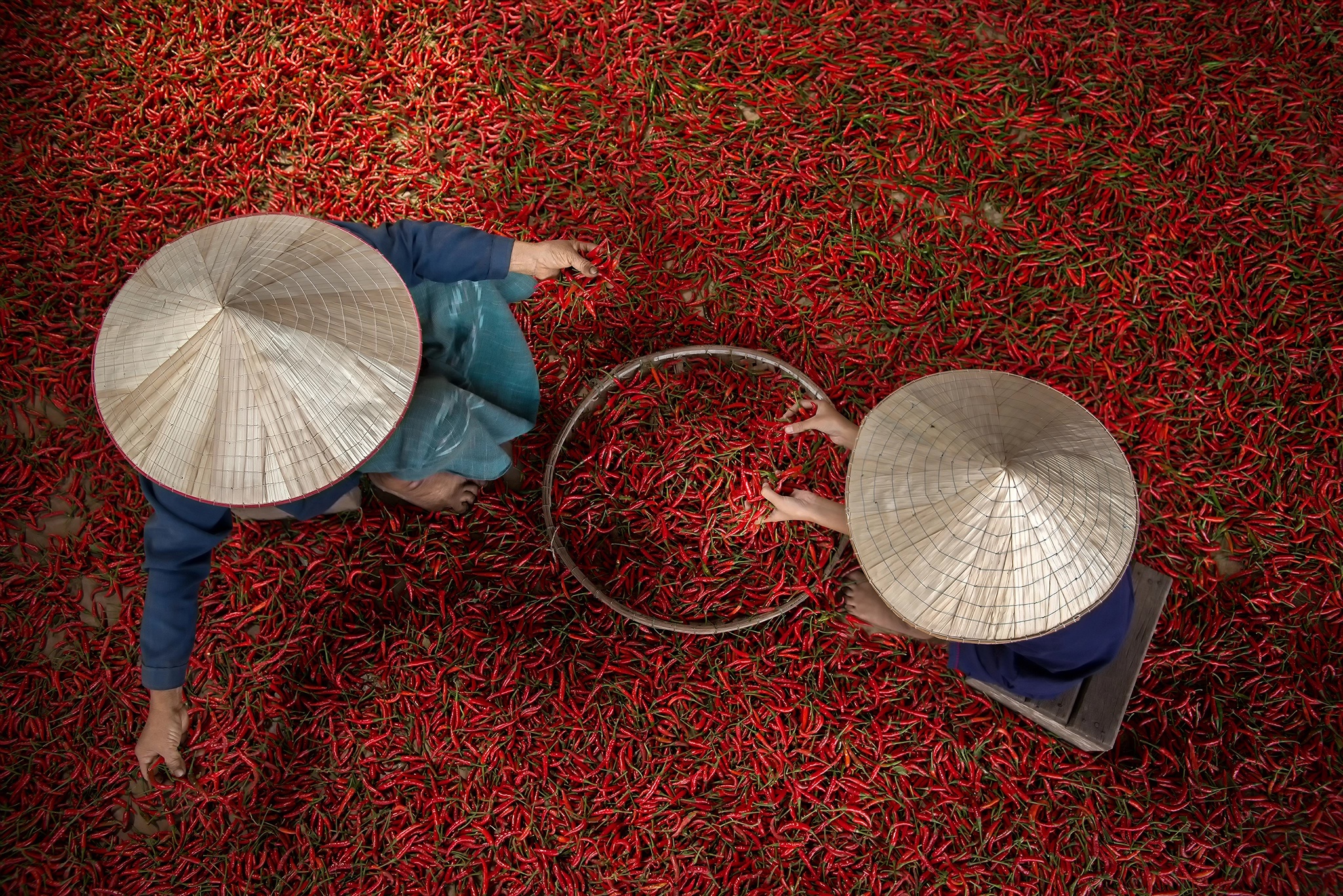 Asian Conical Hat People Pepper 2048x1367