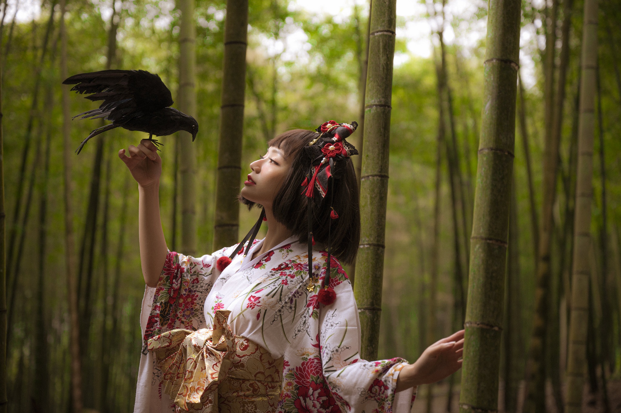 Asian Women Model Long Hair Brunette Crow Forest Trees Hair Ornament Traditional Clothing Depth Of F 2048x1363
