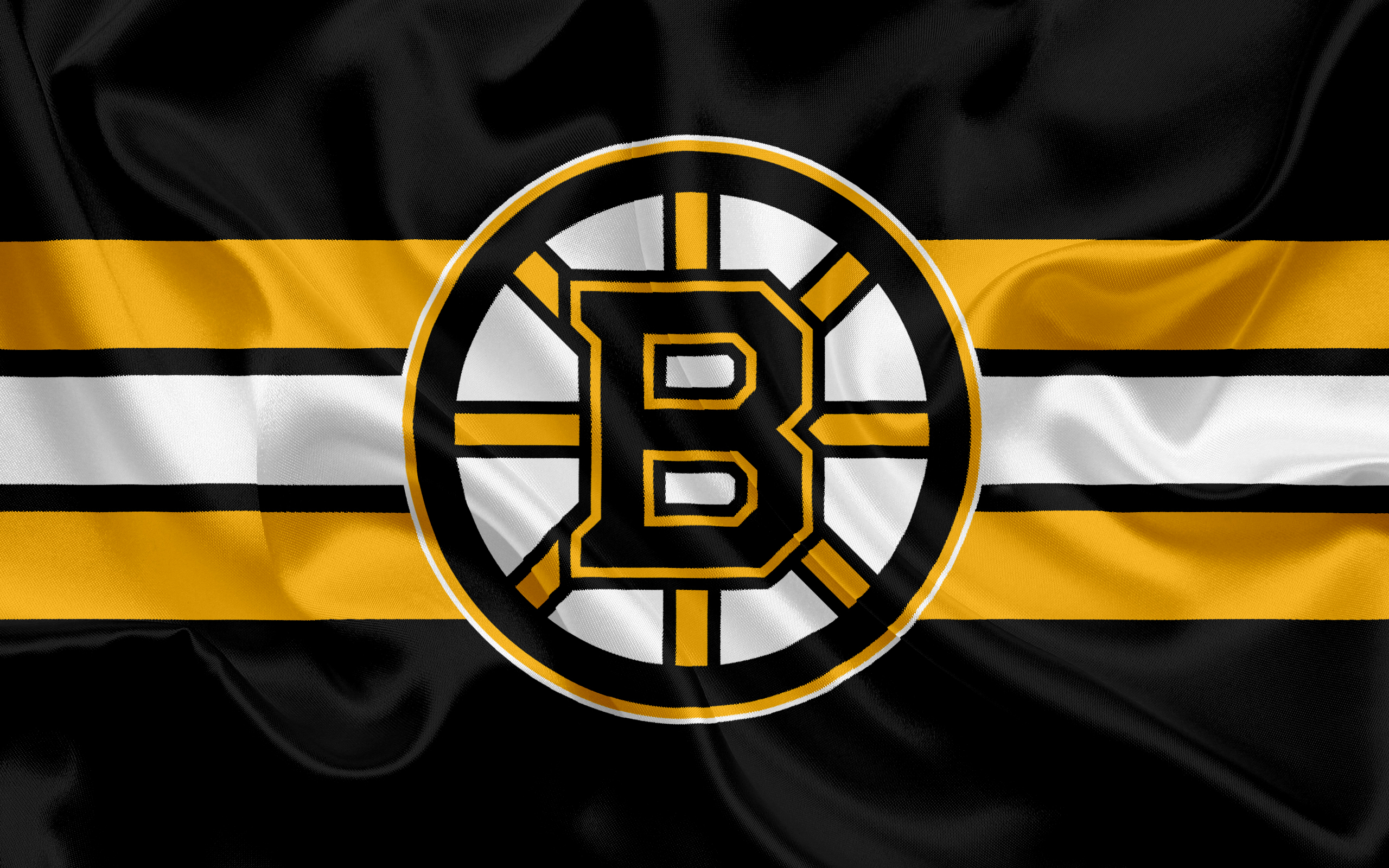 Boston Bruins Emblem Logo Nhl 2560x1600