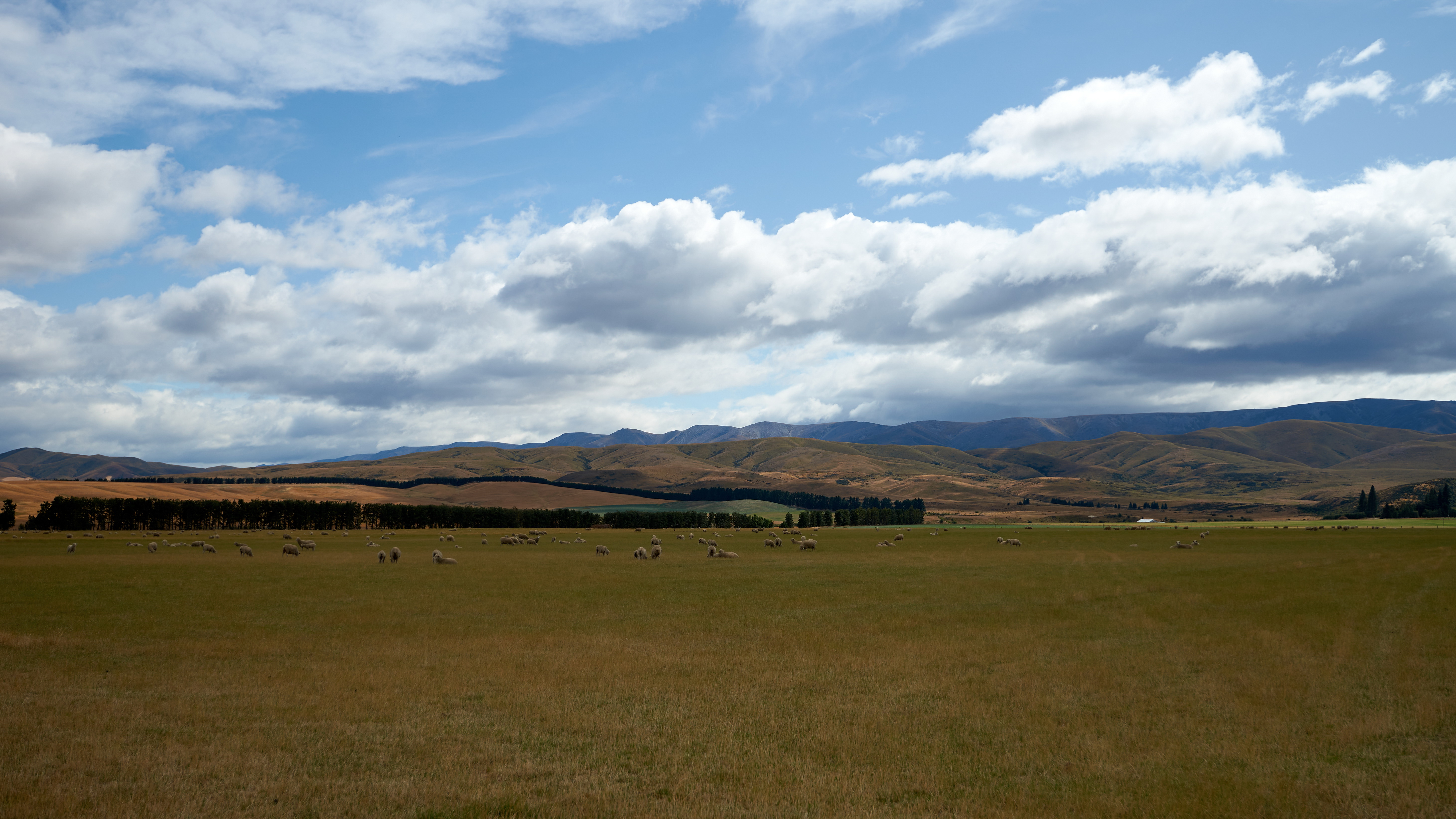 Omakau Ranch Sky Landscape Field Clouds 5845x3288