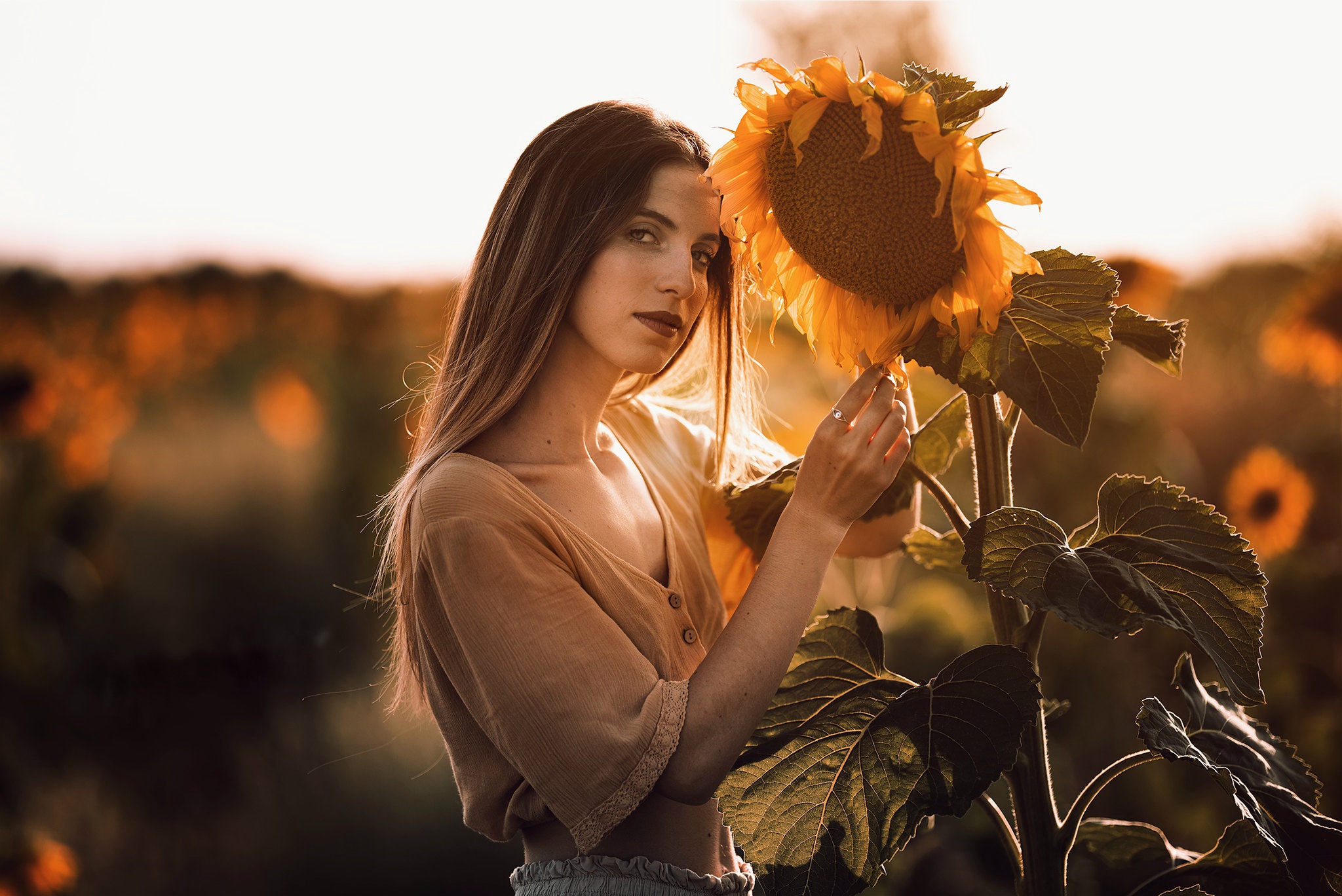 Brunette Depth Of Field Girl Model Summer Sunflower Woman Yellow Flower 2048x1368