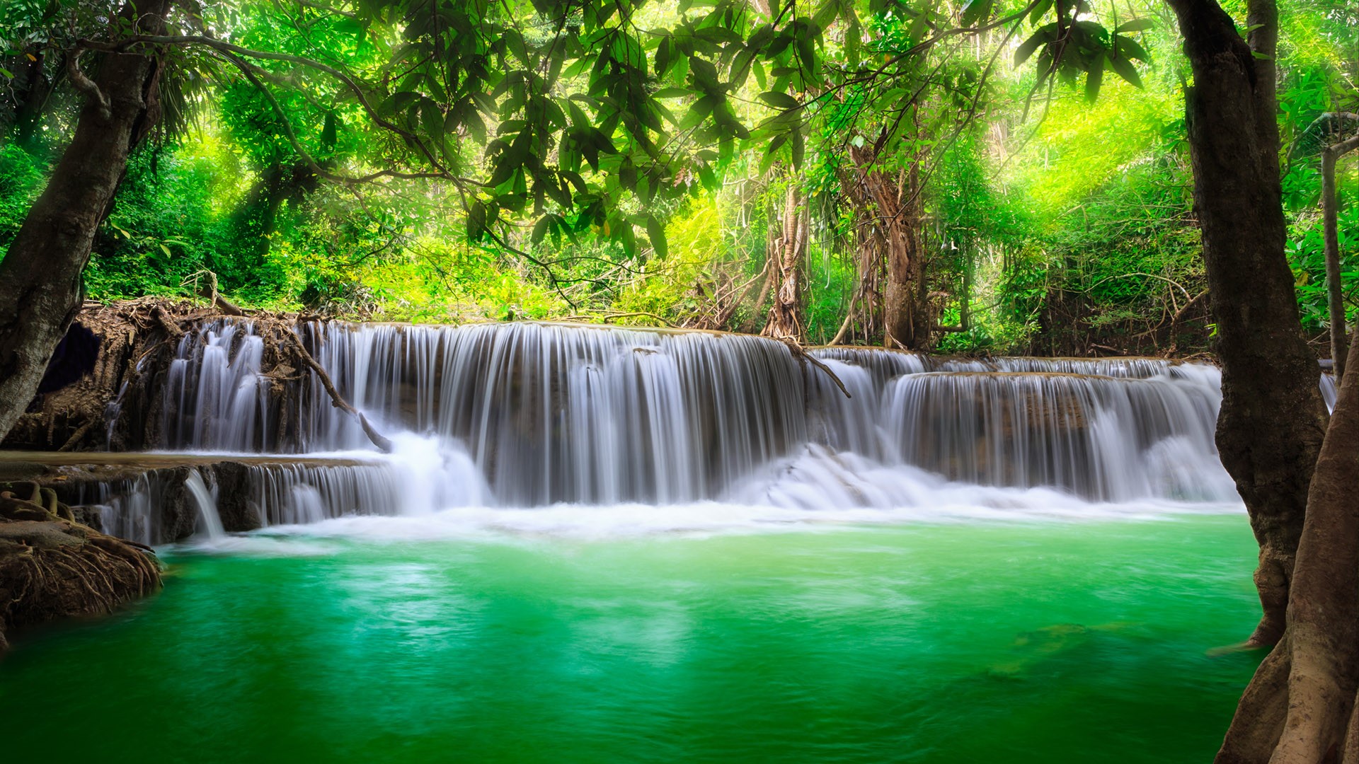 Nature Waterfall Plants Water Outdoors Trees 1920x1080